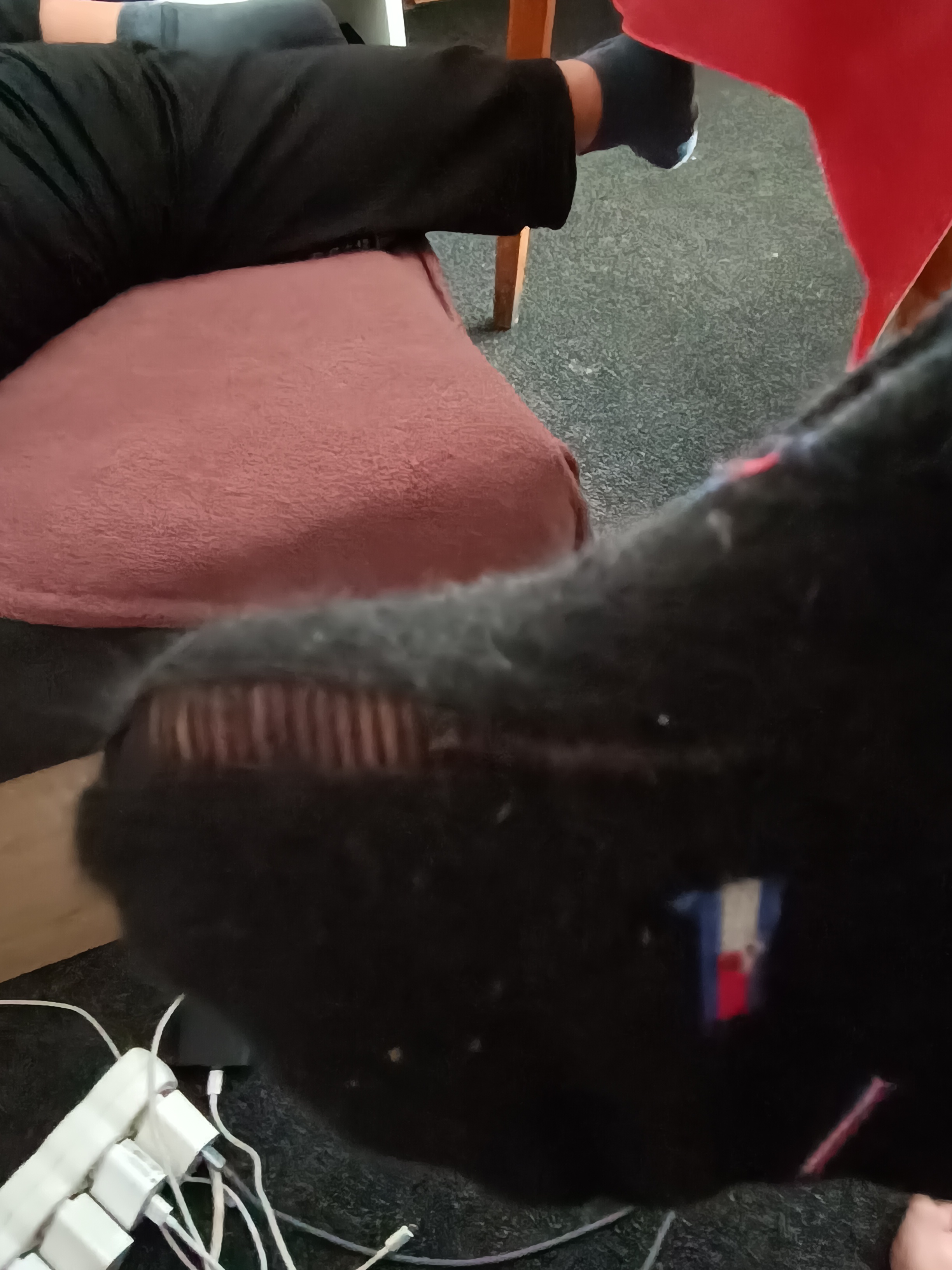 Felidas.cz foto 4