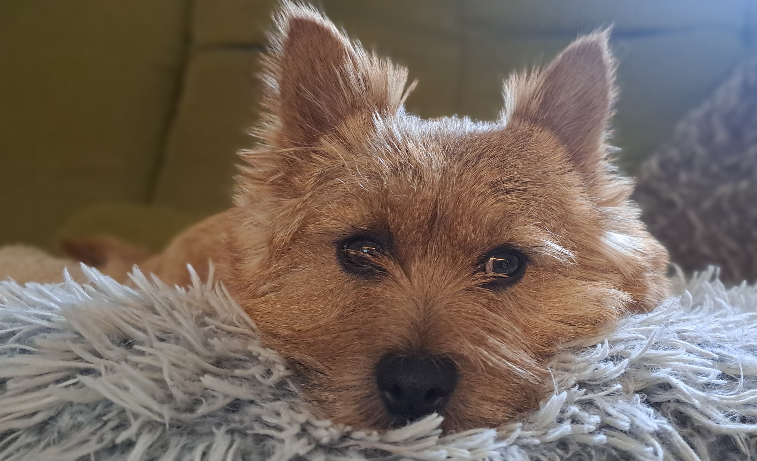 Bc. Sylvie Schettlová foto 2