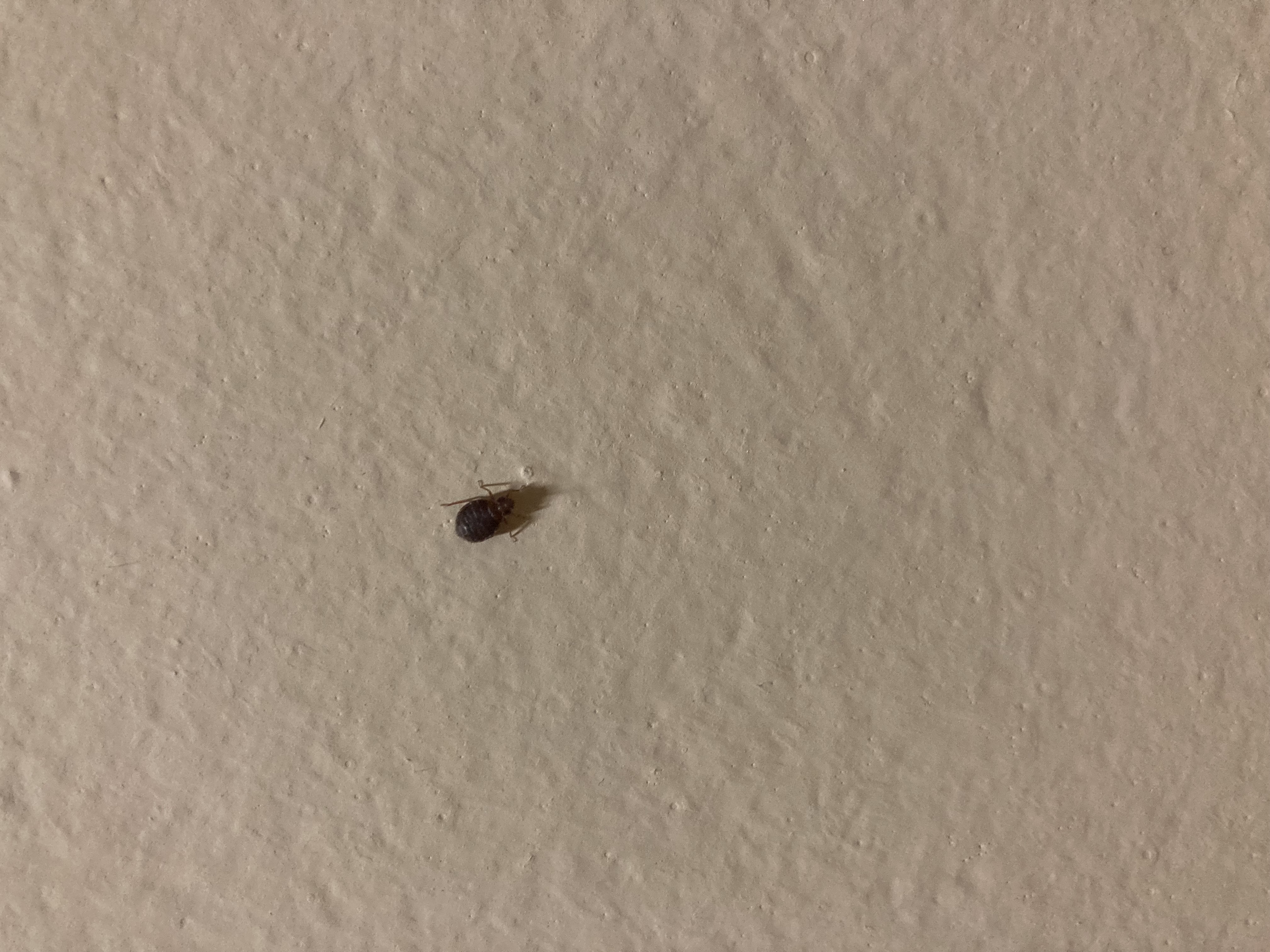 Ubytovna Holešovice foto 2