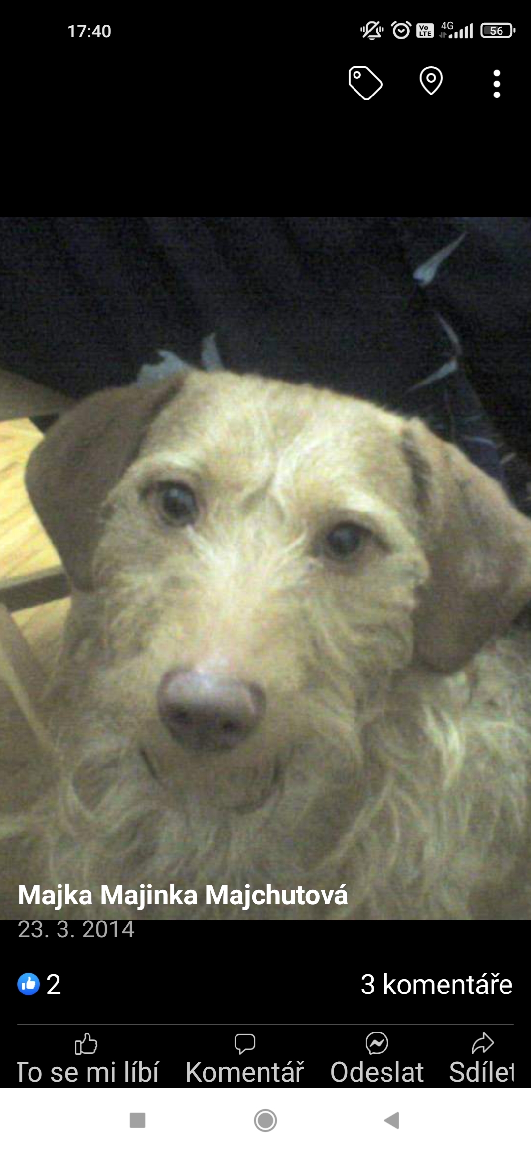 Veterina Pelikán foto 3