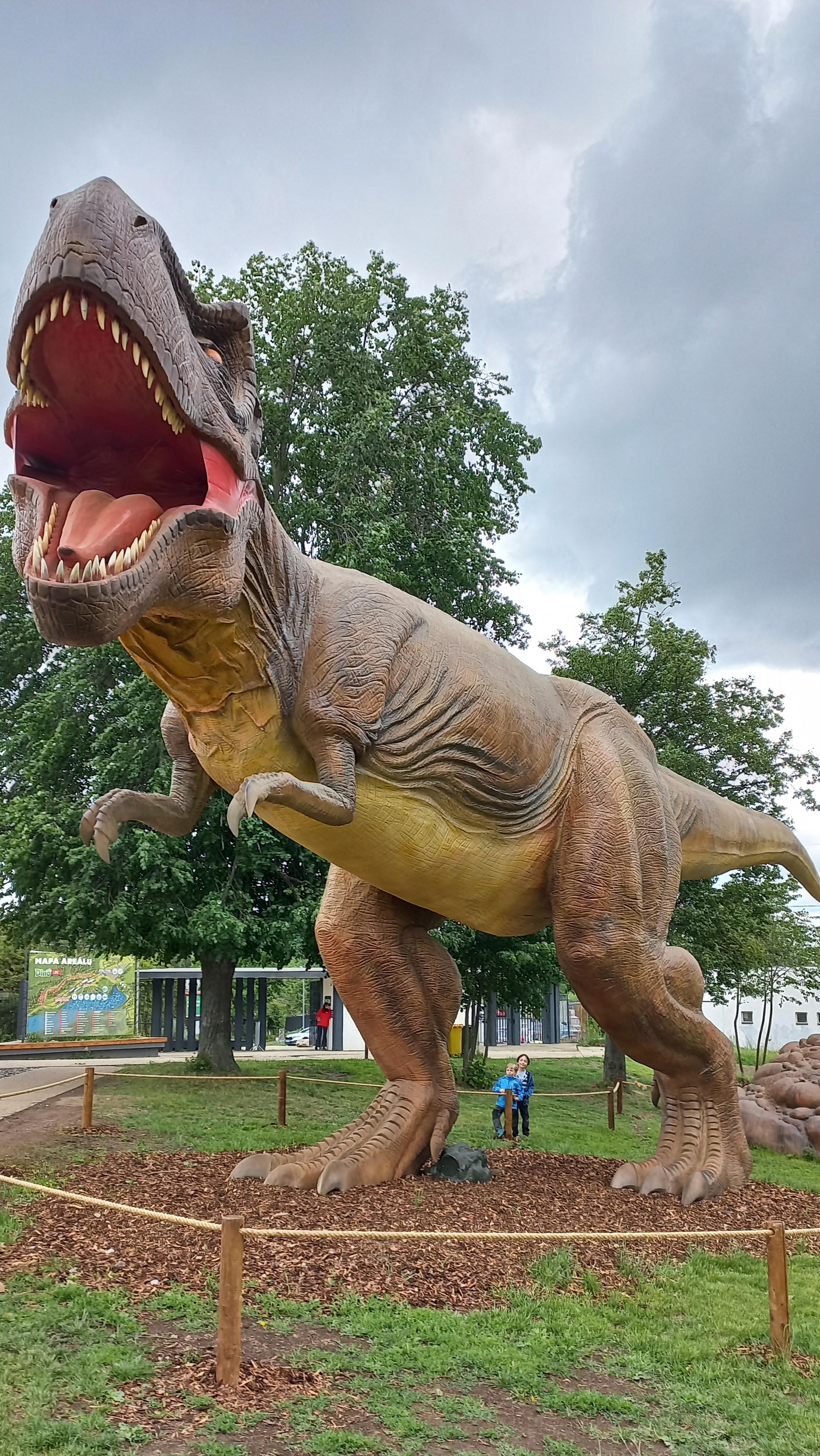 DinoLive foto 3