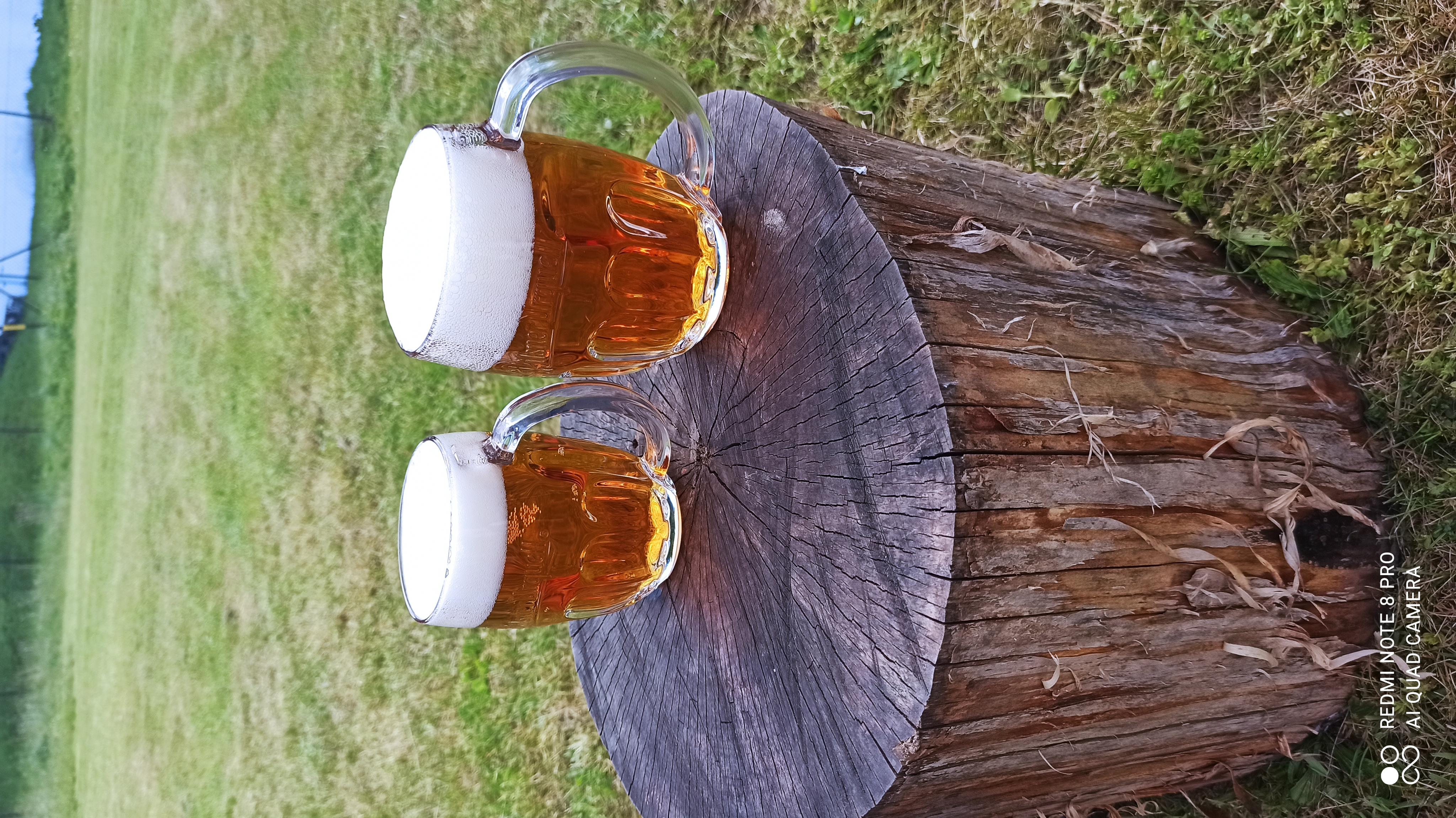 REST U Jedné stopy foto 5