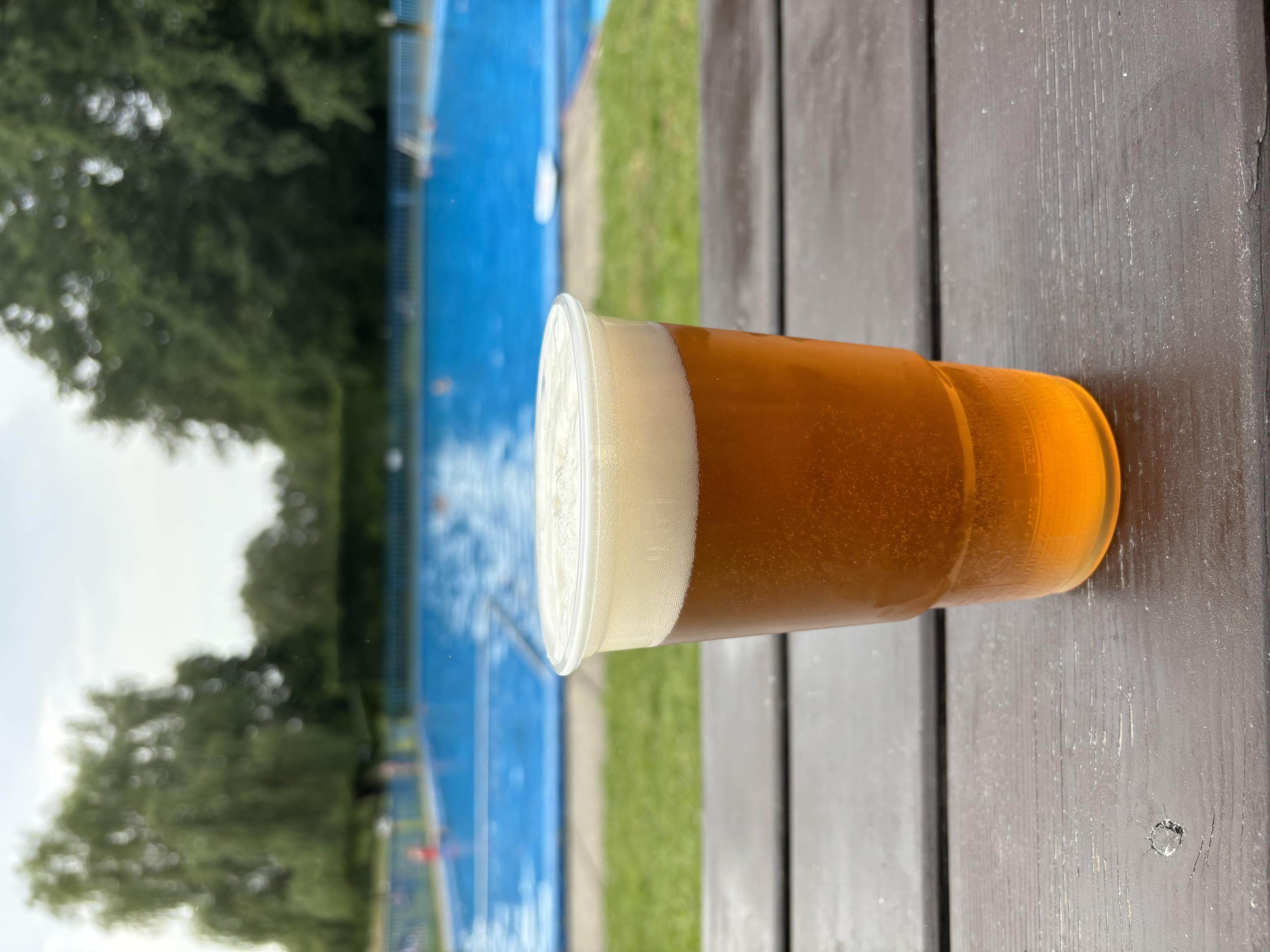 Trnávka koupaliště foto 4