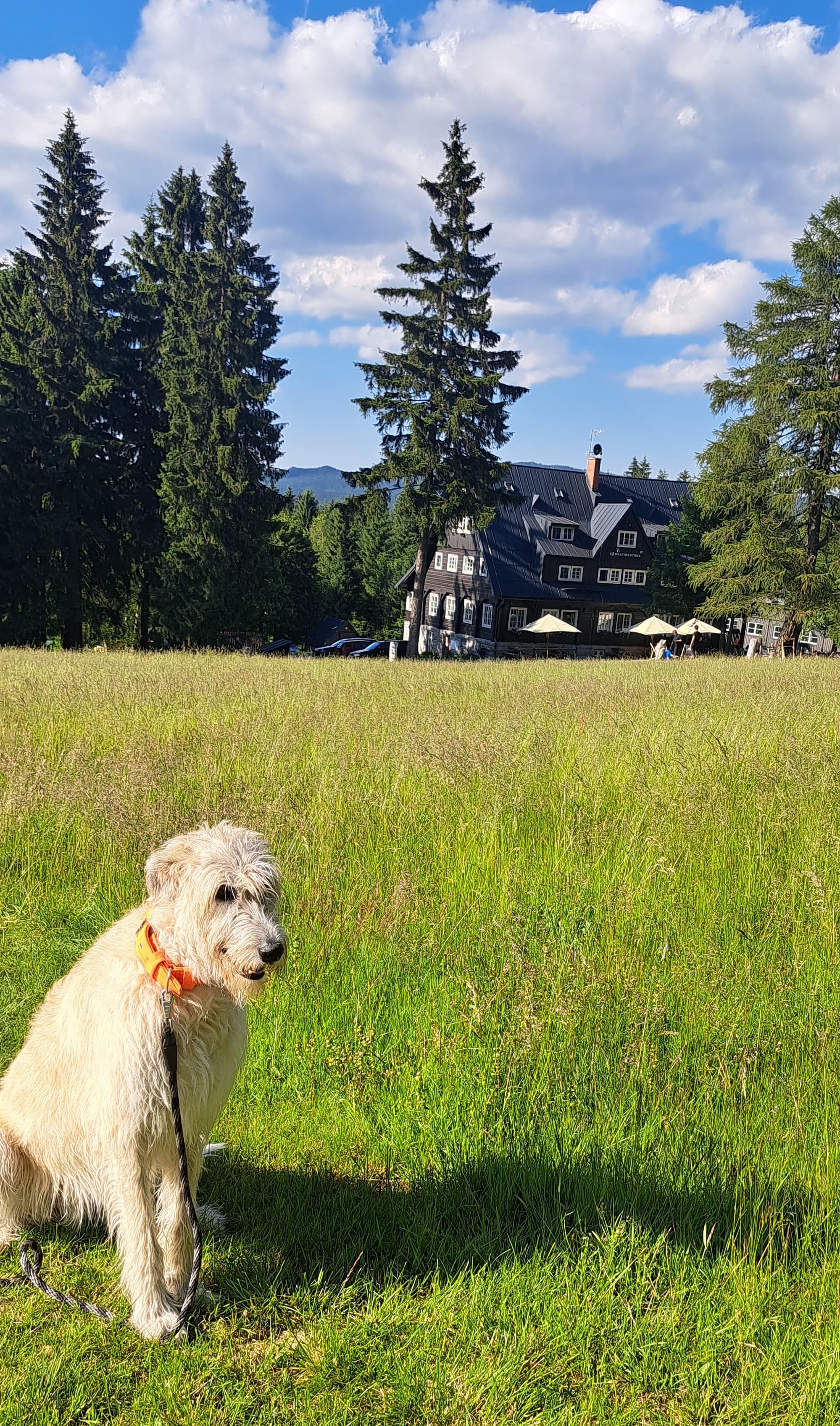 Prezidentská chata foto 6