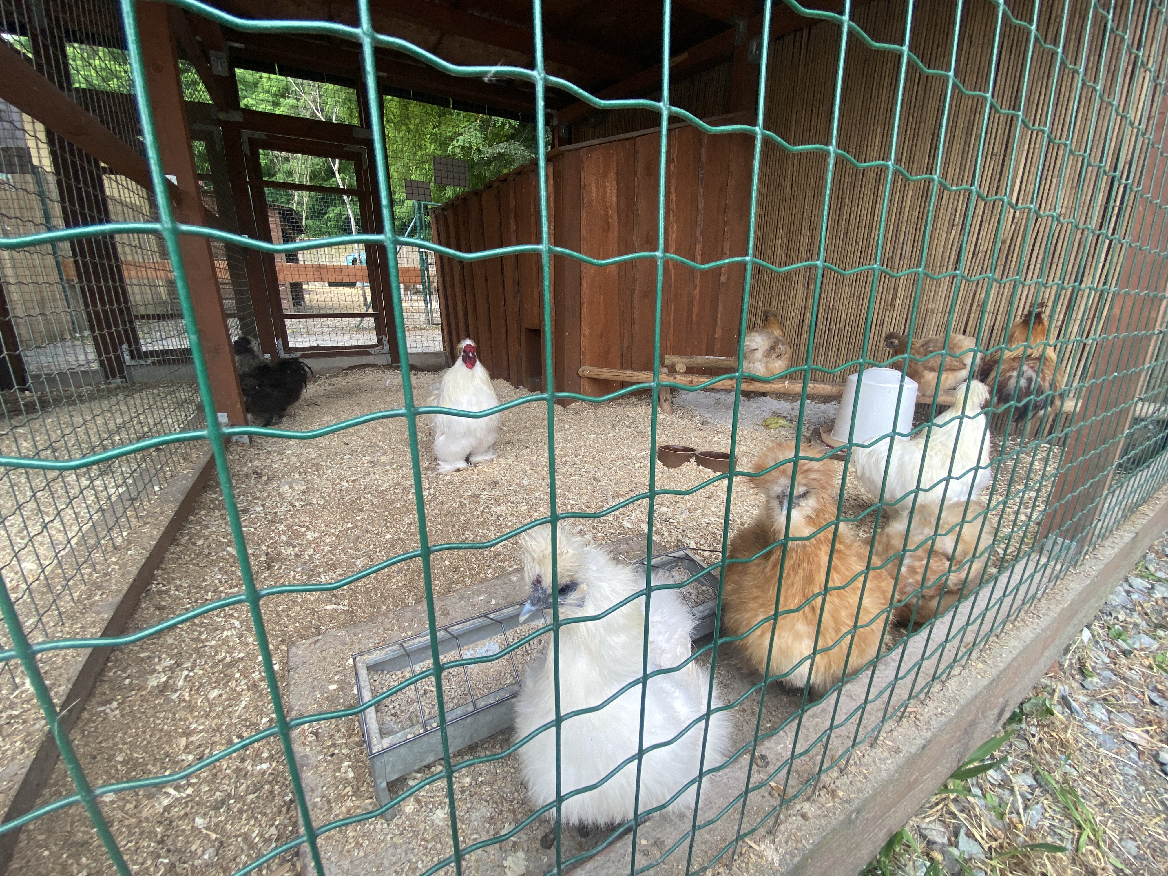 Farmaparkutoma.cz foto 4