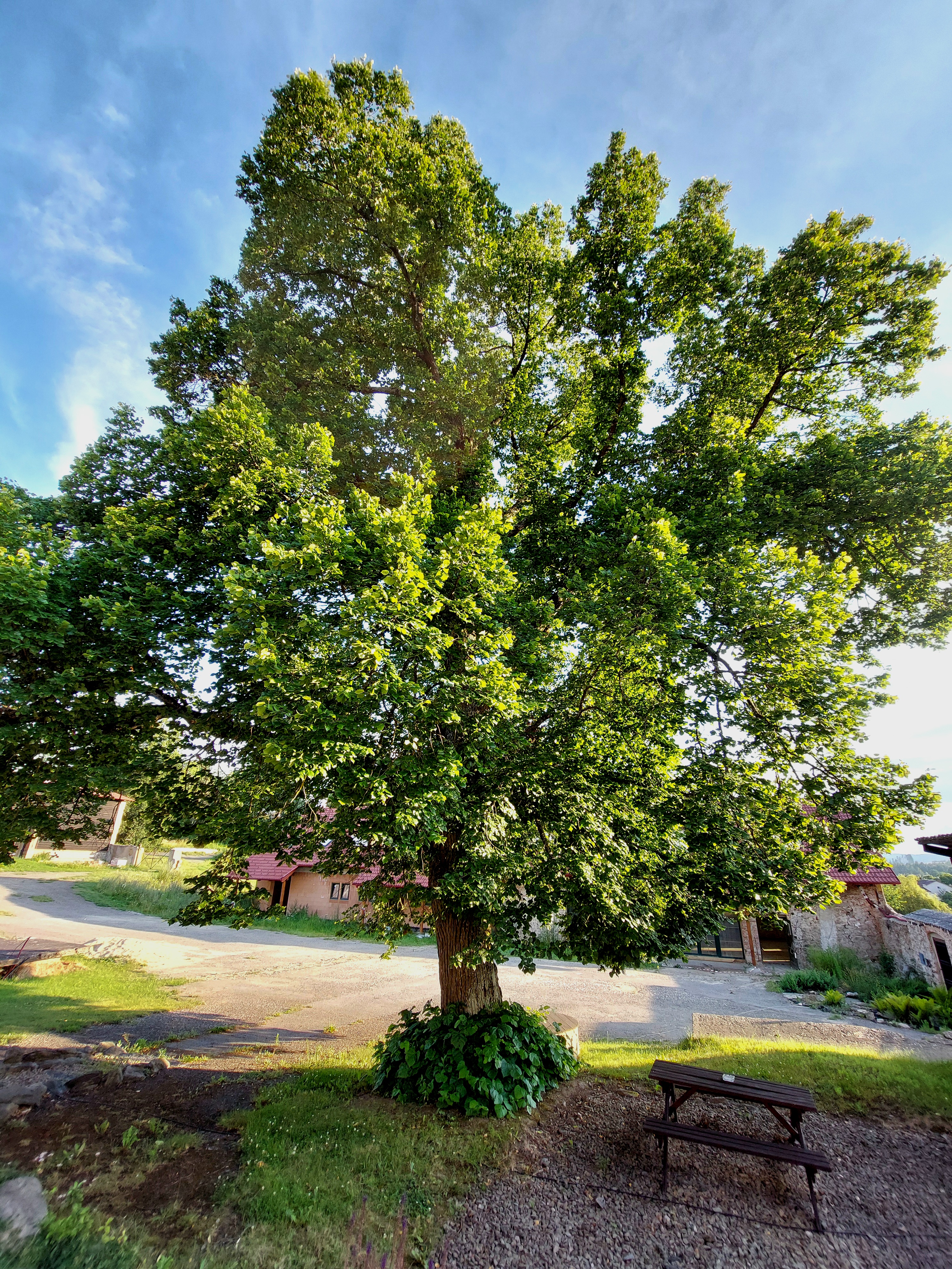 Pernštejnův statek foto 5