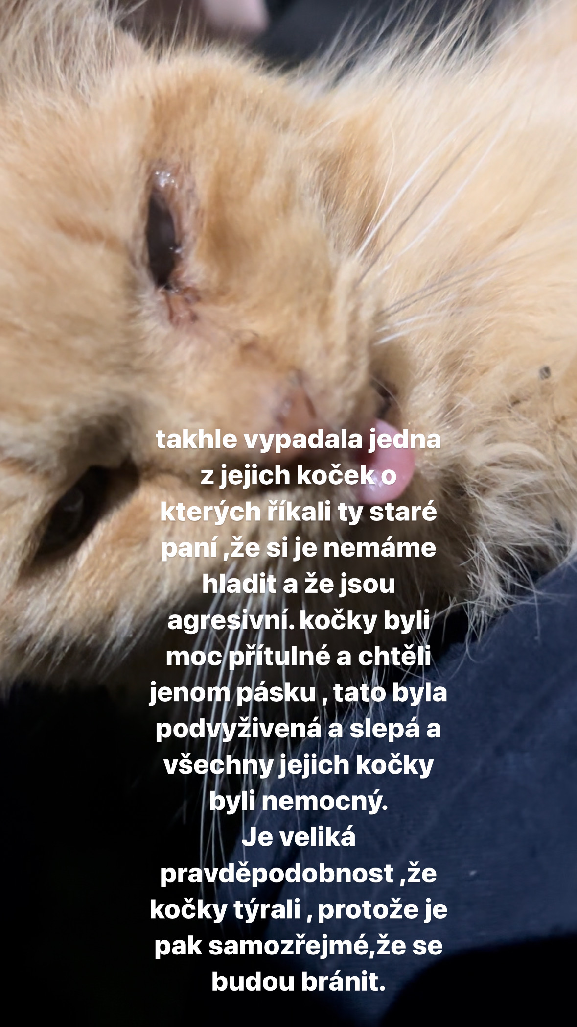 Rekreační středisko Sever foto 3