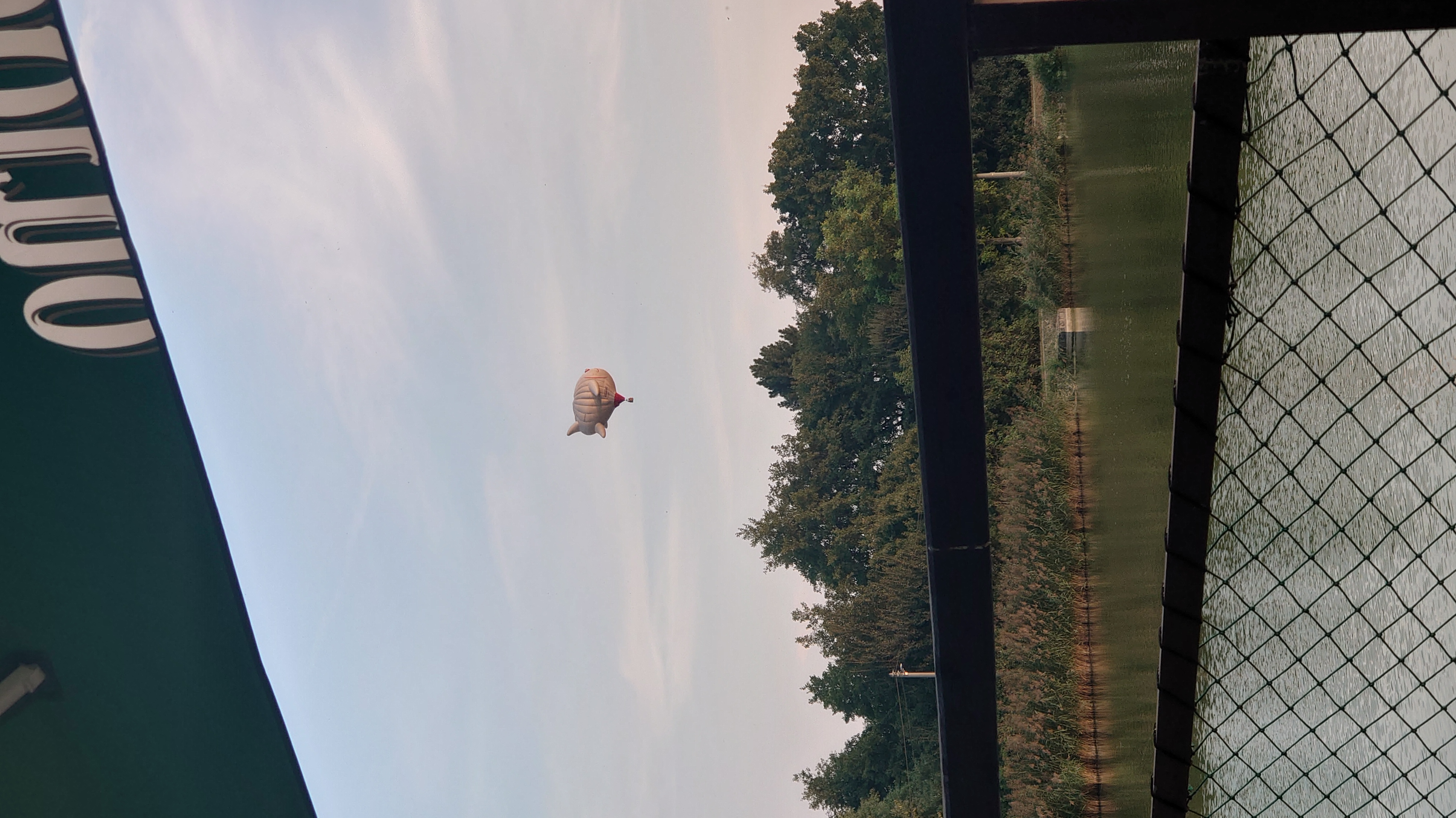 Restaurace U Žabáka foto 5