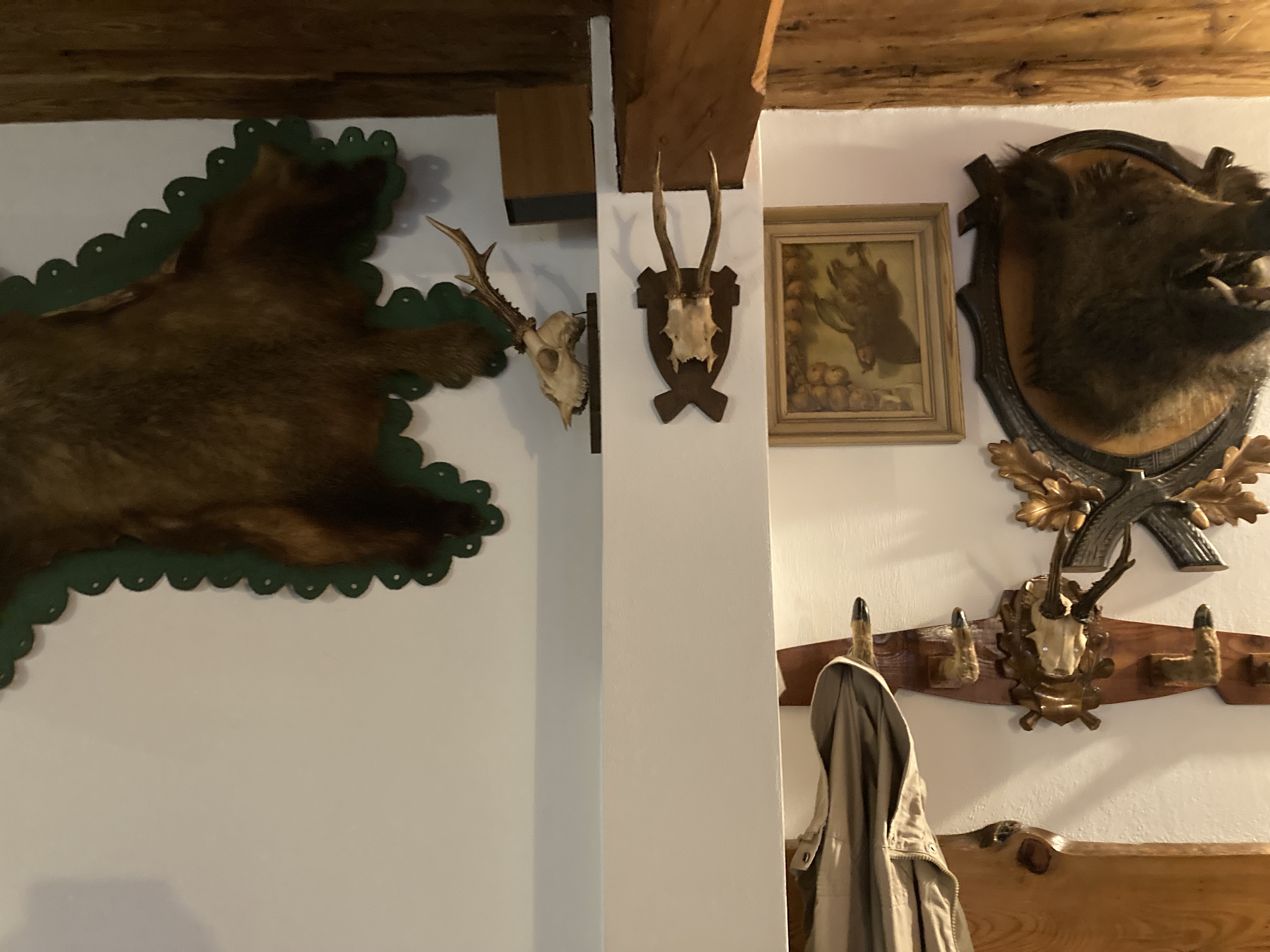 Restaurant Svatý Hubert foto 2