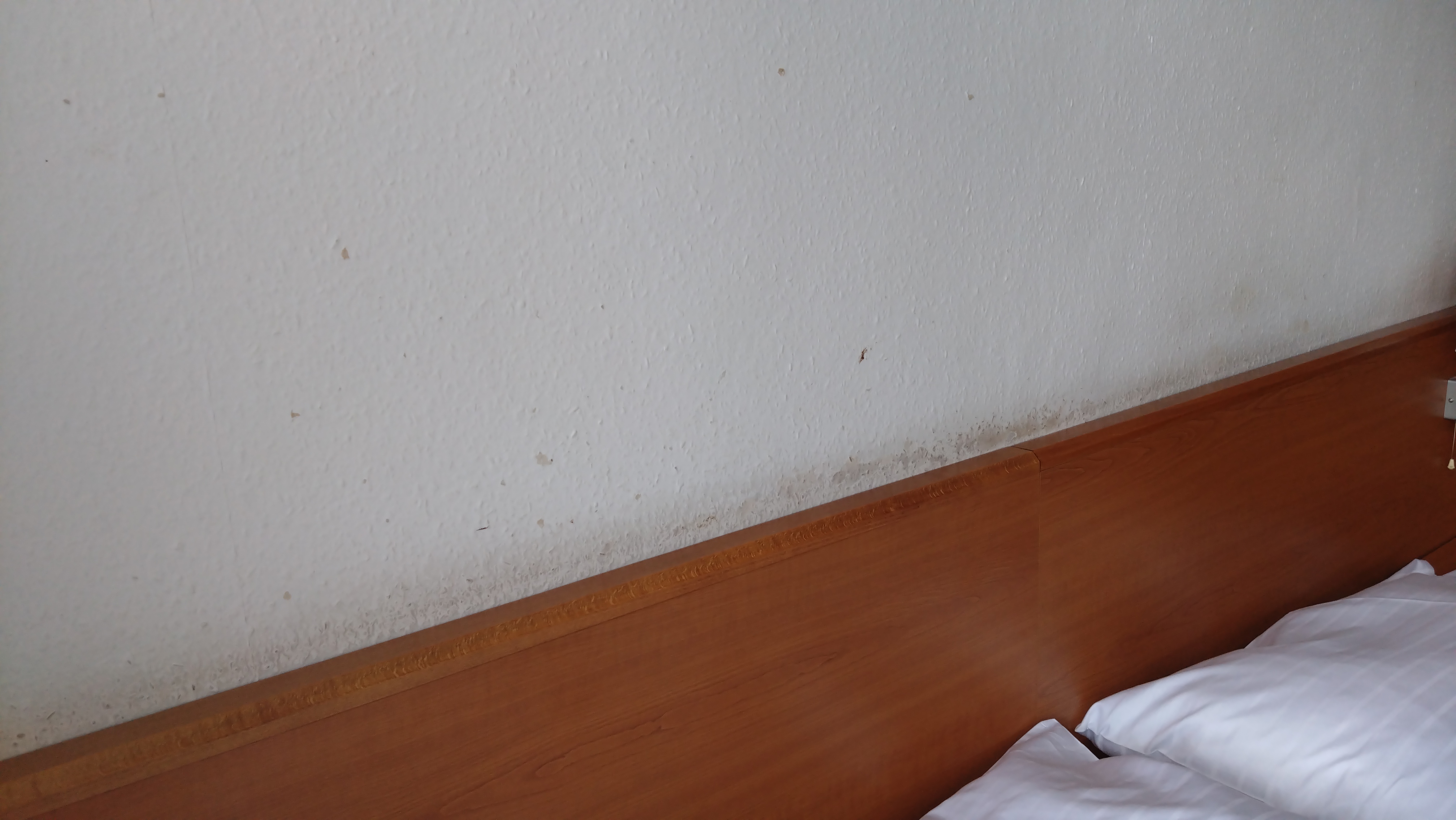 Hotel Astra foto 2