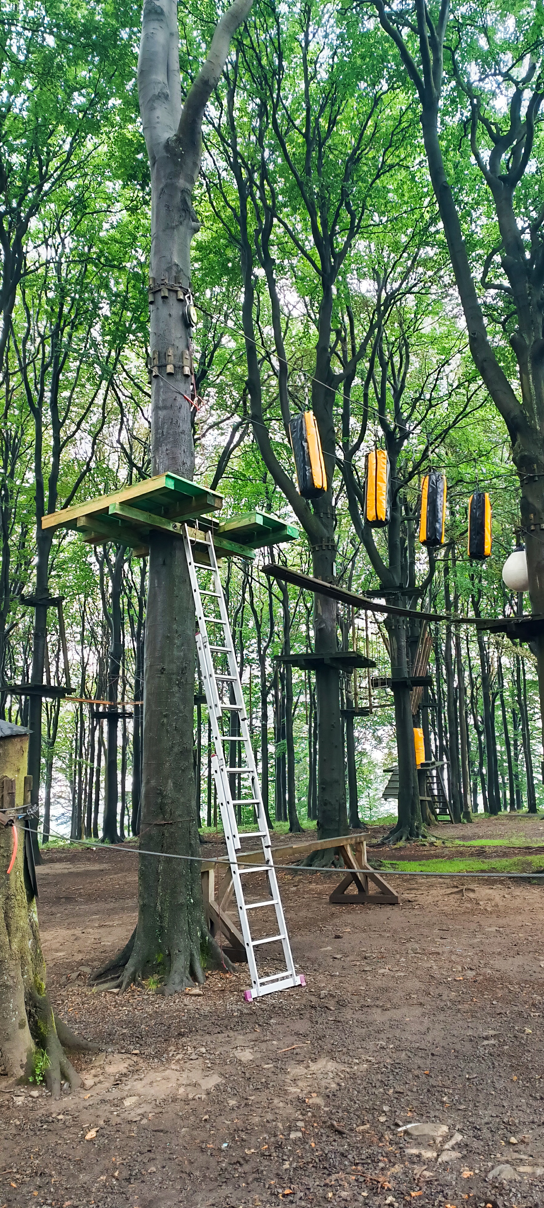 Lanový park Jedlová foto 6