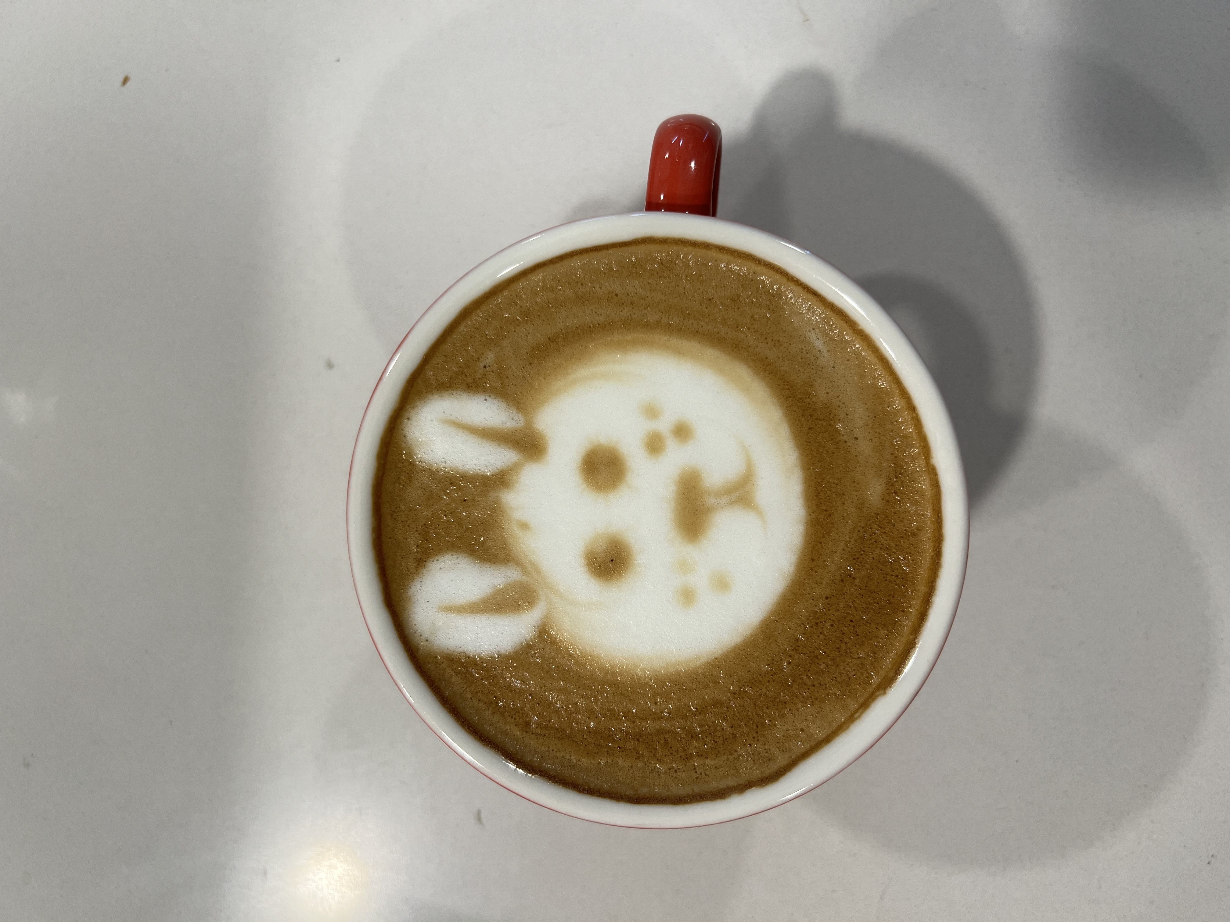 Kavárna v Knihovně foto 4