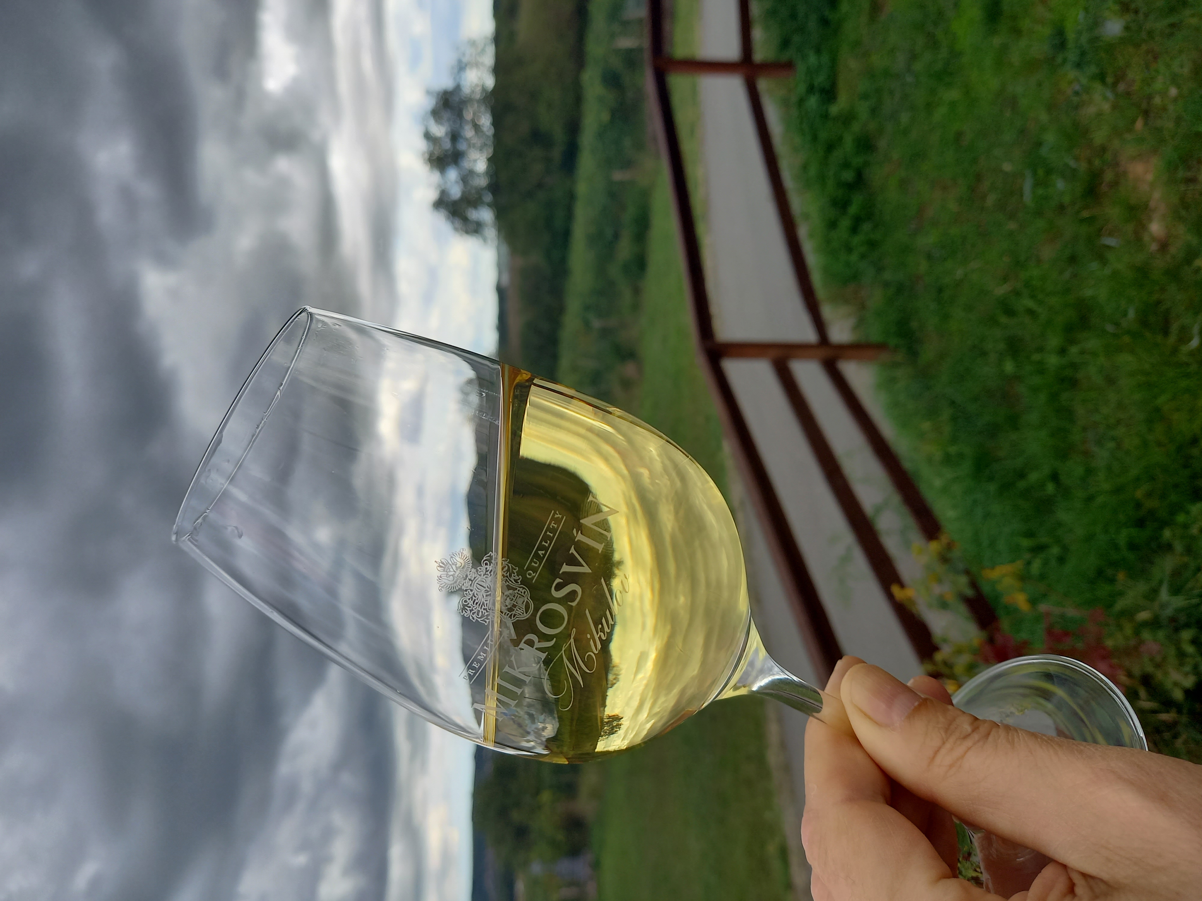 Vinařství Mikrosvín Mikulov foto 3