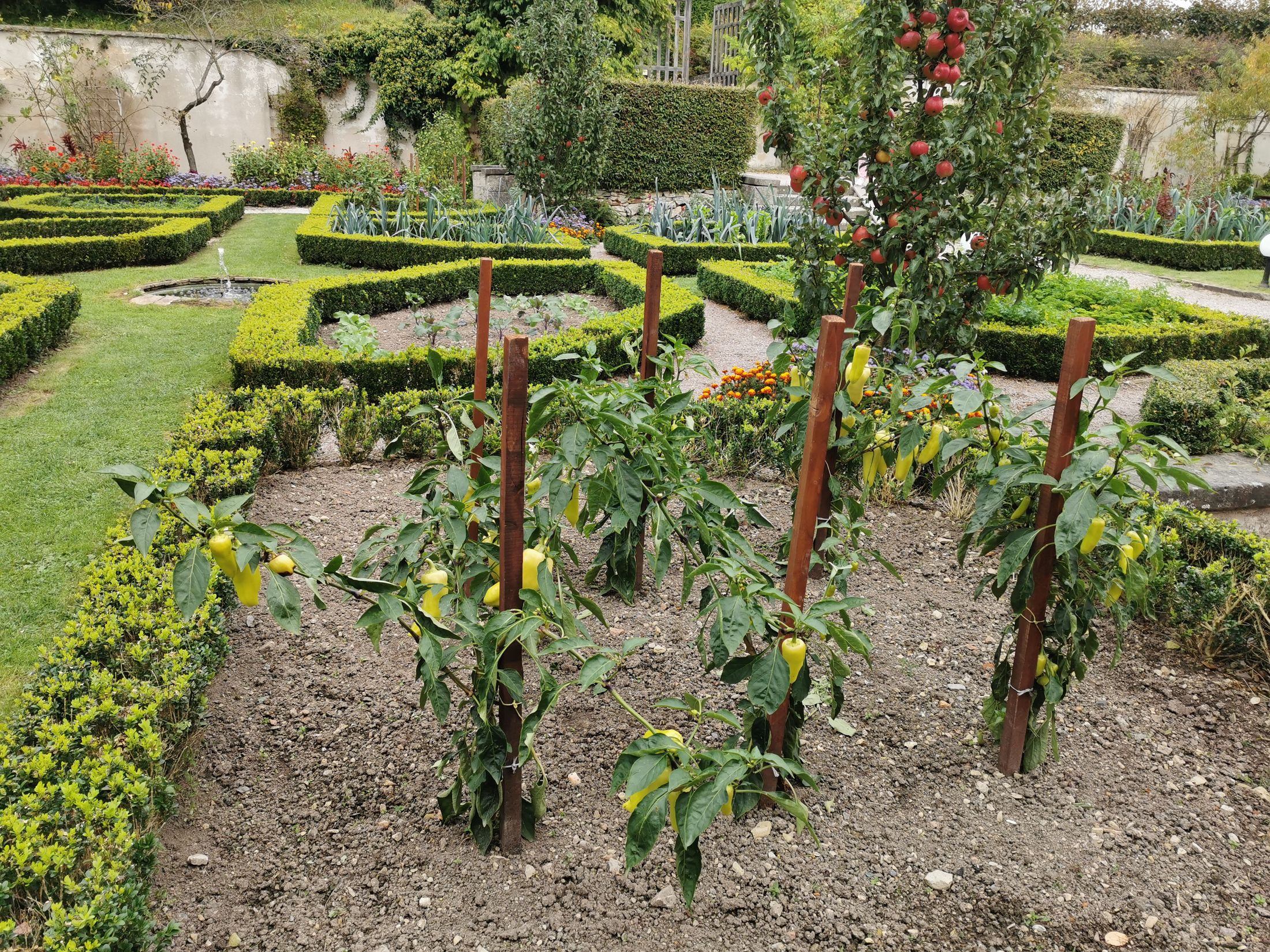 C5iLCi.jpeg?fl=res,2200,2200,1