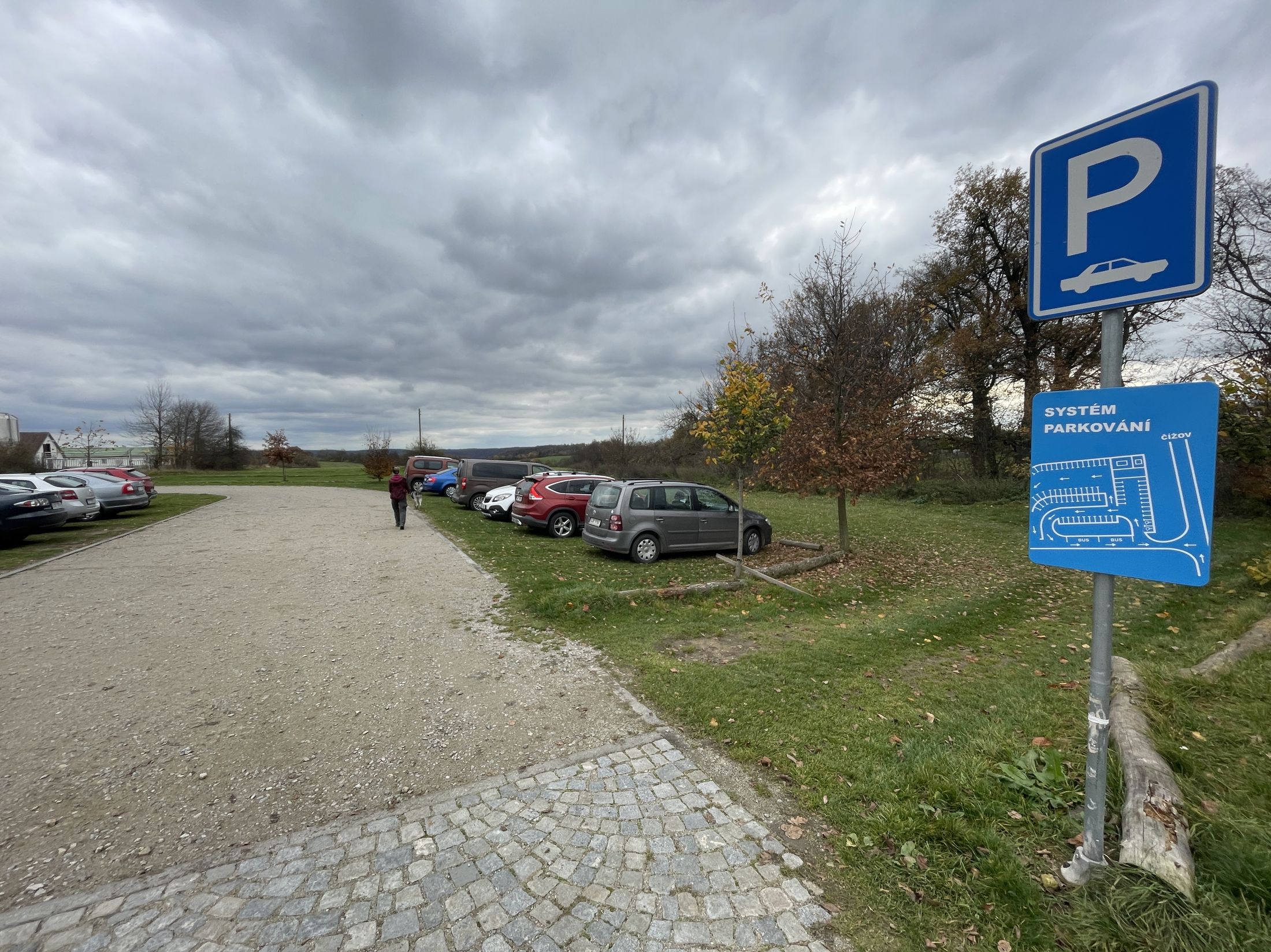 Nielegalny znak drogowy — ustawiony po lewej stronie jezdni — wyklucza odpowiedzialność kierowcy