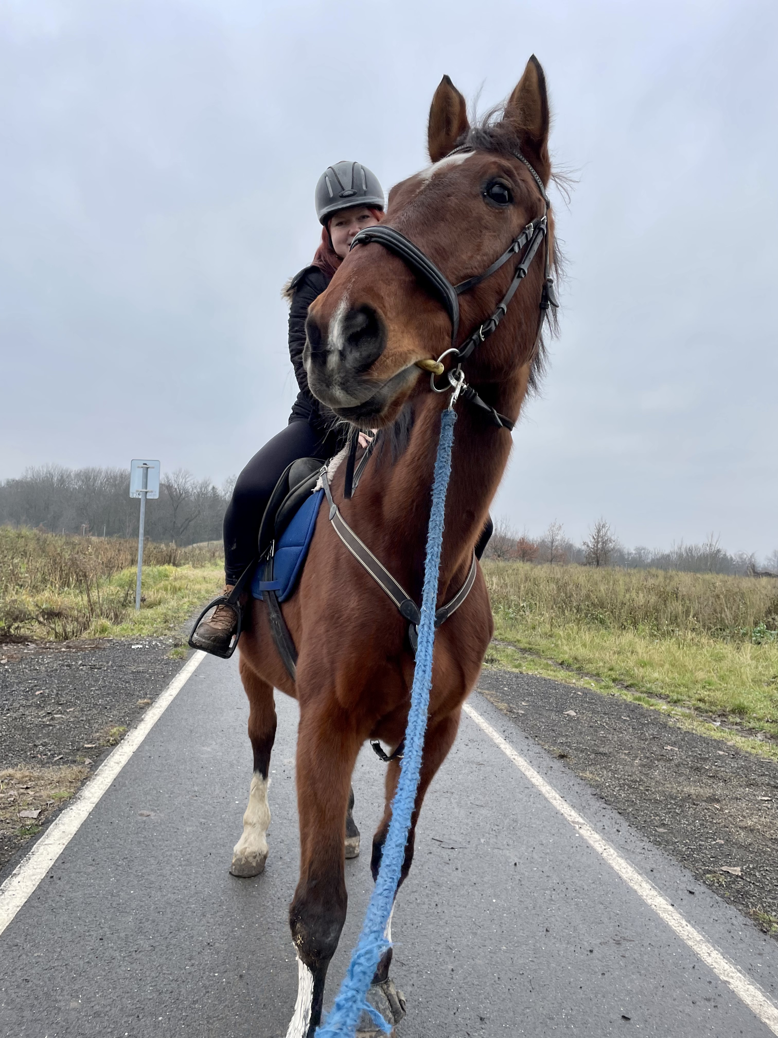 Jezdecký klub Fidorka foto 5