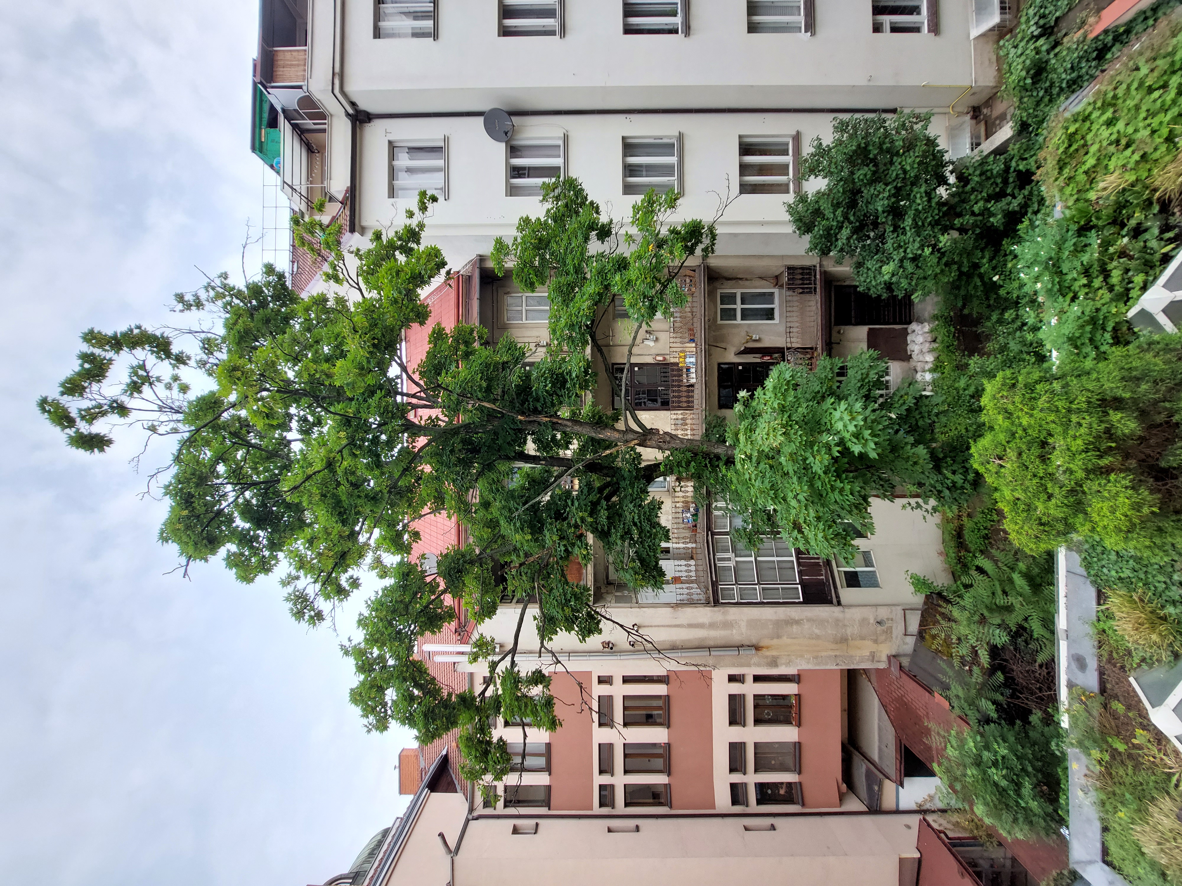 CGOP, s.r.o. foto 3
