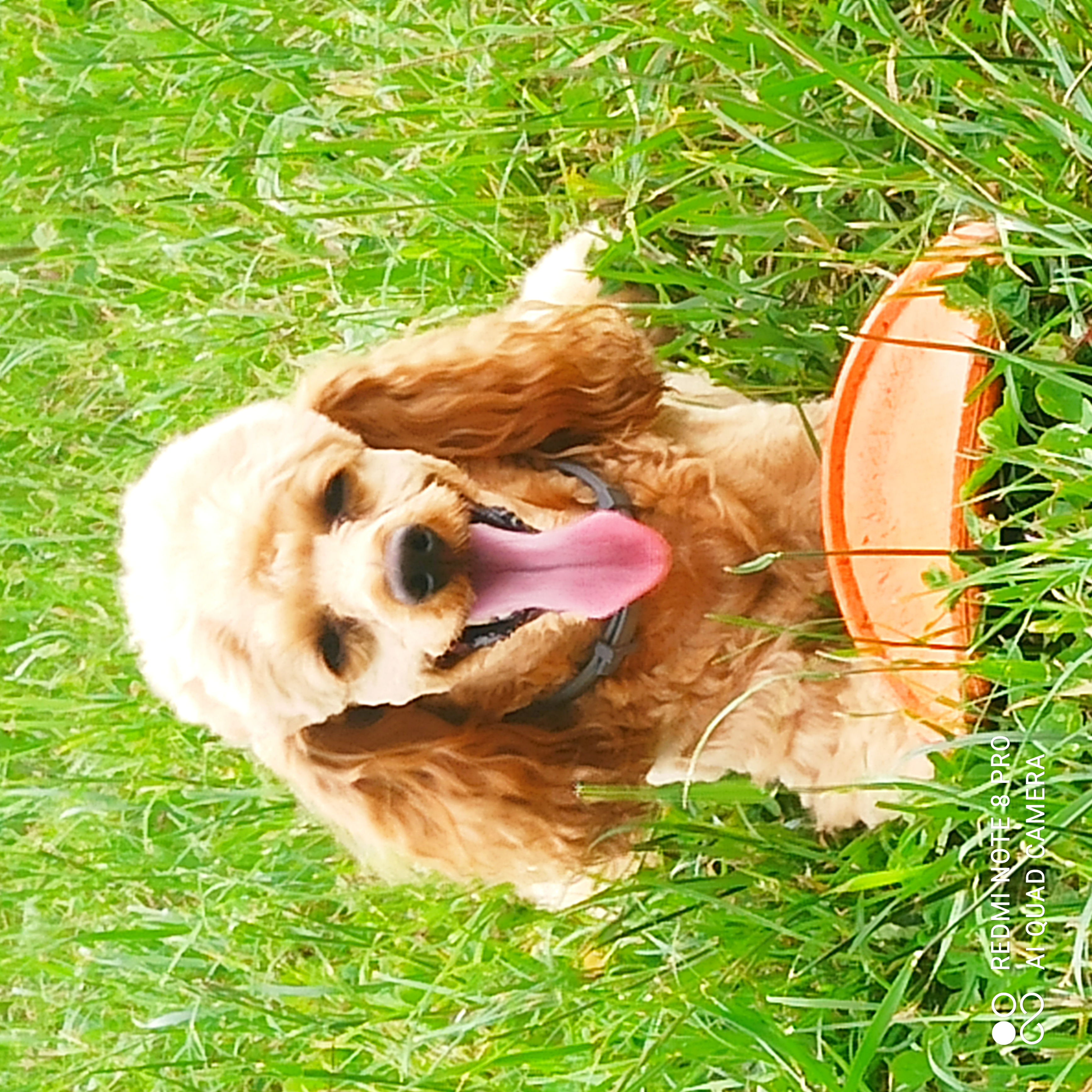 MVDr. Miloš Zajíc foto 2