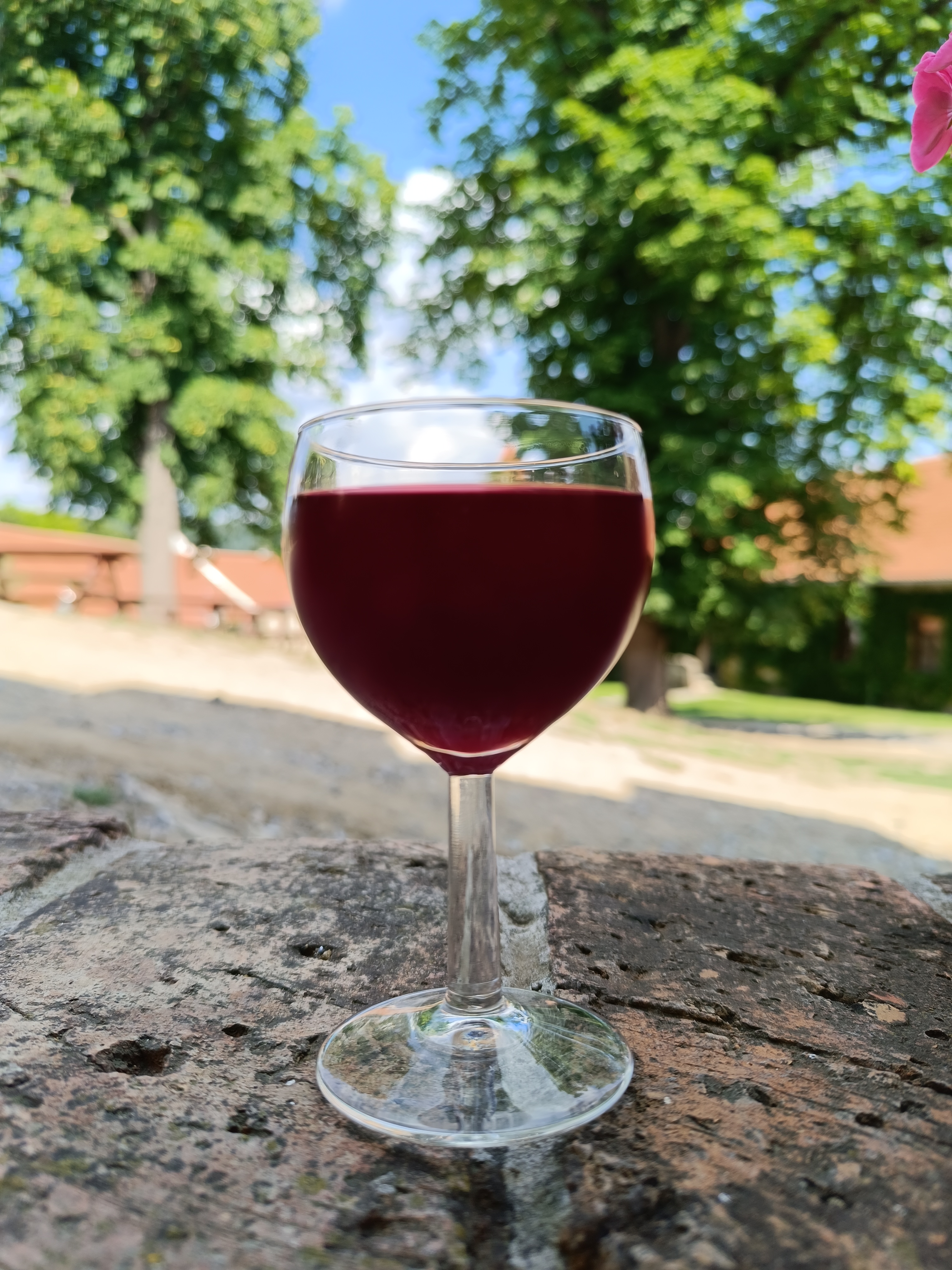 Šenk Na Kovárně foto 6