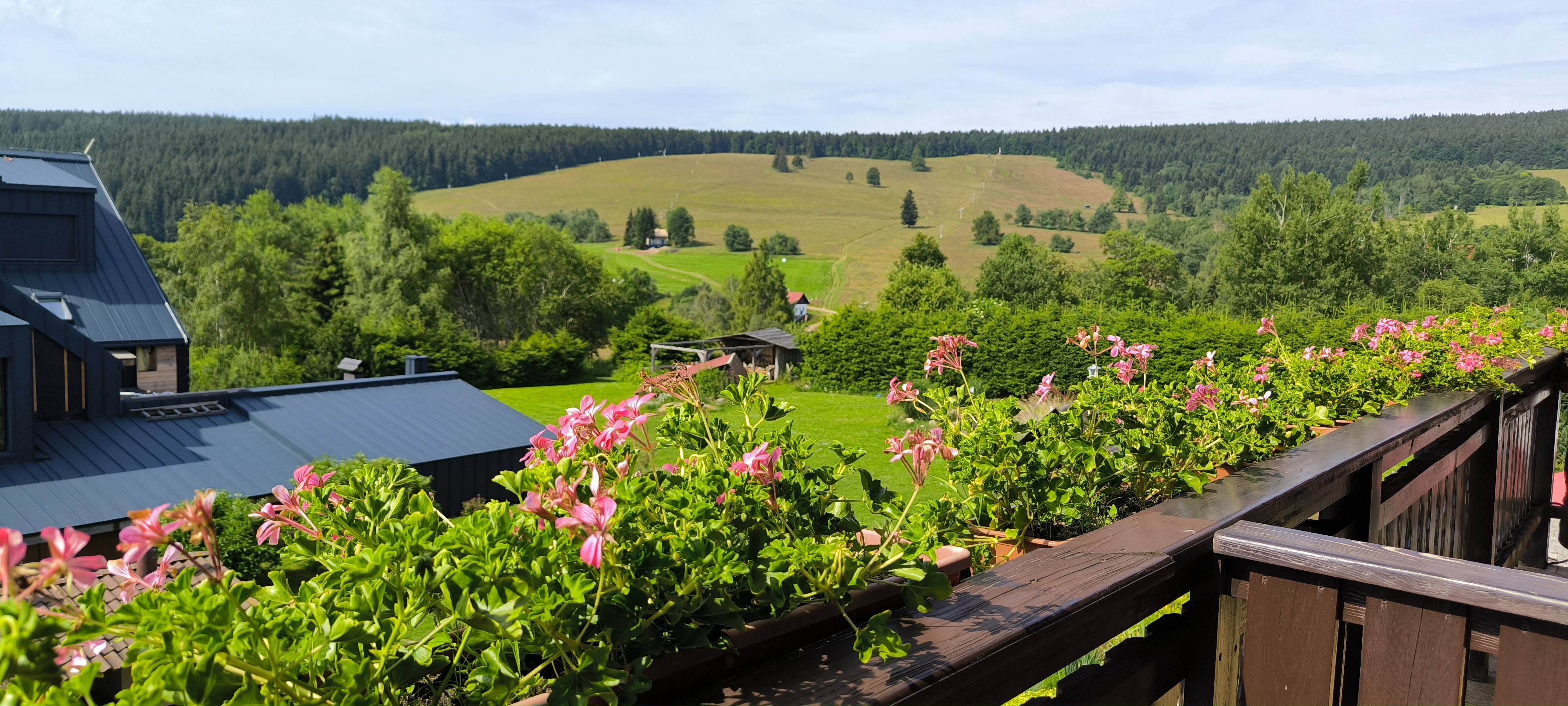 Penzion Tetřívek foto 5