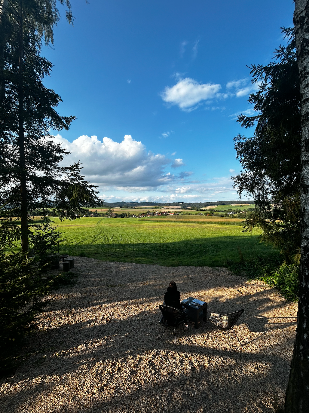 Včelí domek u lesa foto 6