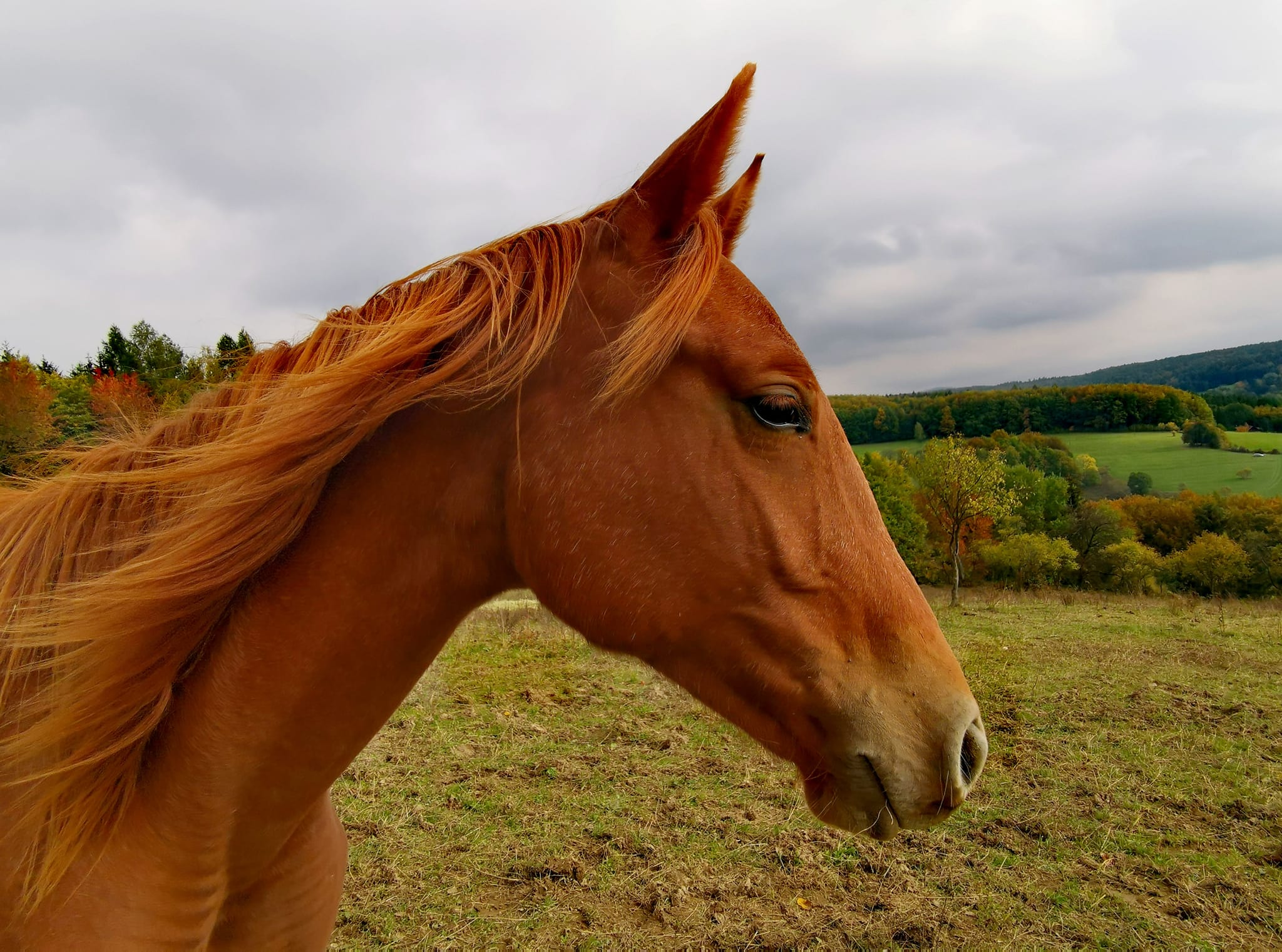 Odpočívadlo u Hajtmanů foto 5