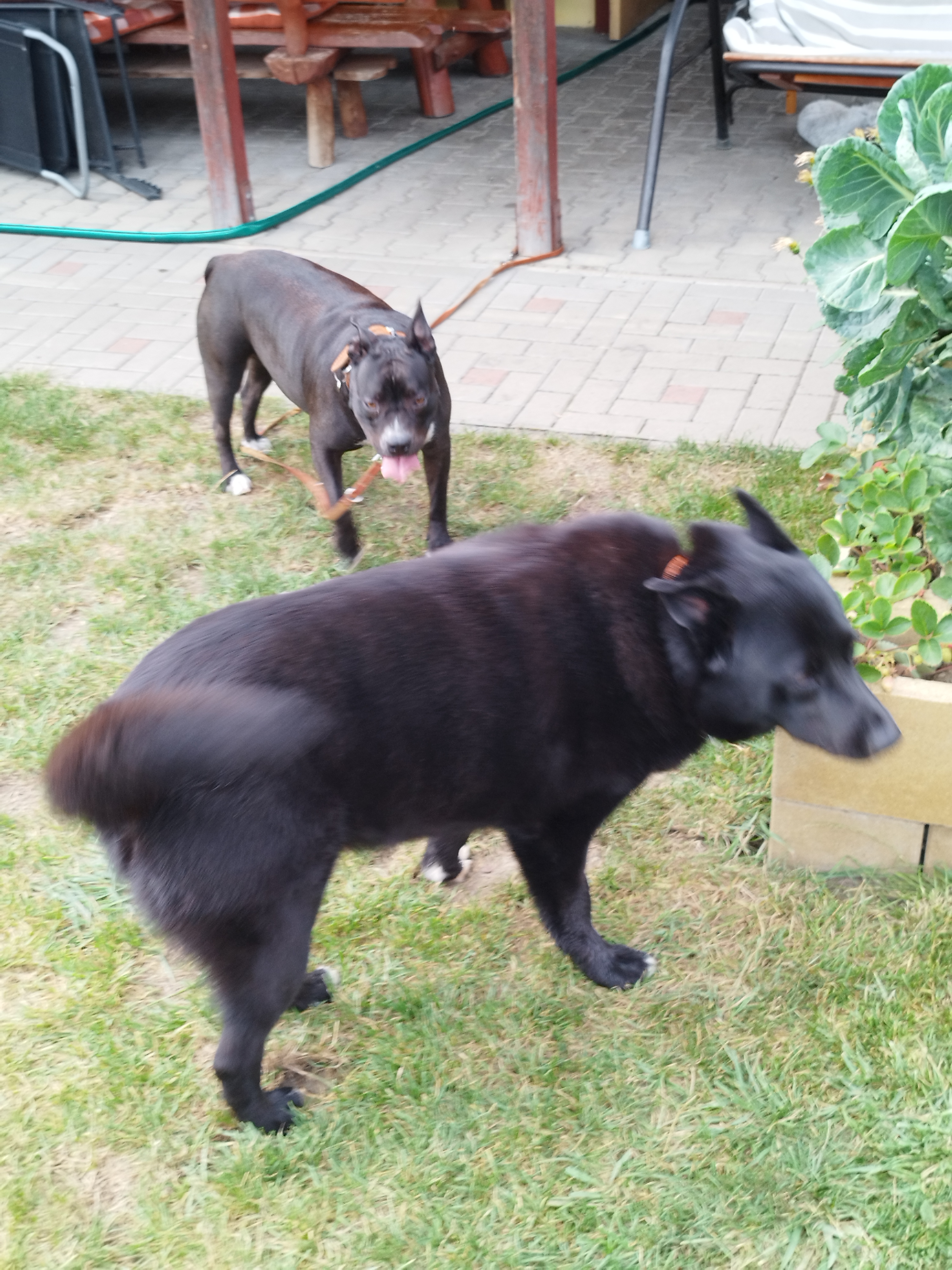 Veronika Hucková - Hospodářské potřeby foto 5