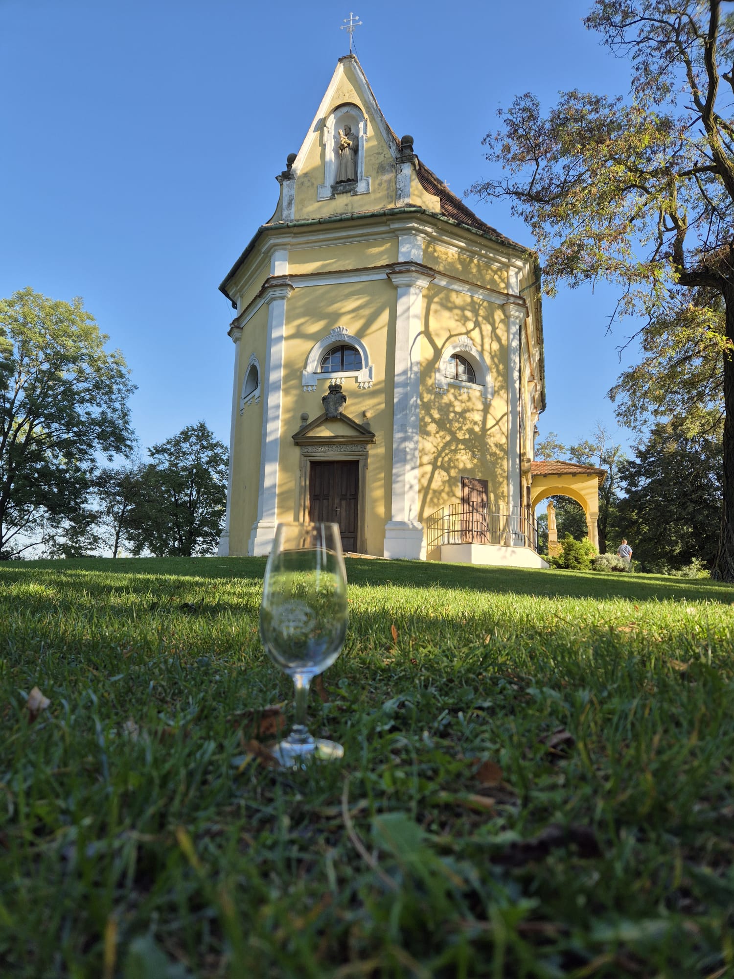 Mladé Vinařství foto 5