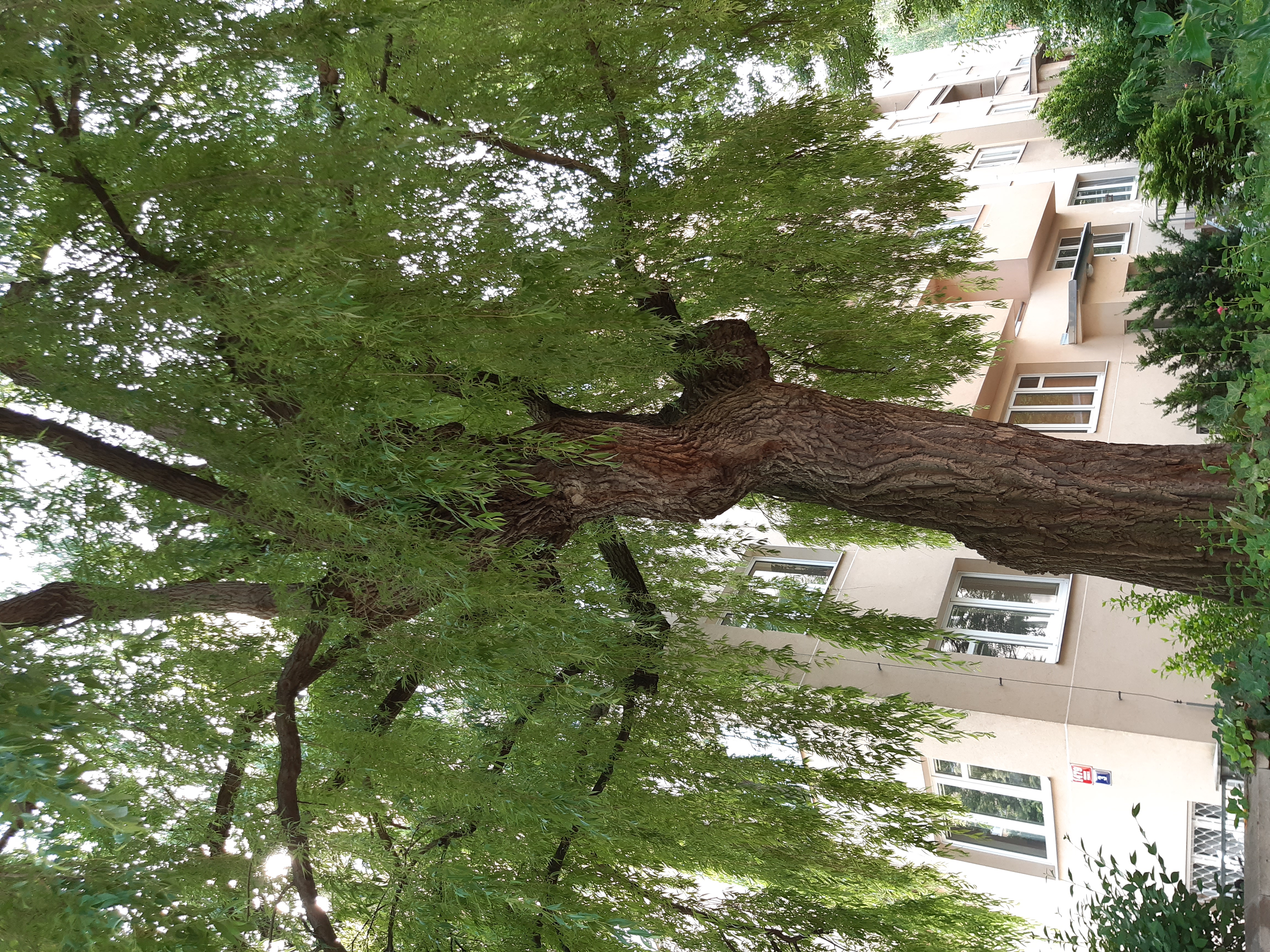 Masáže a terapie Irena Valníčková foto 2