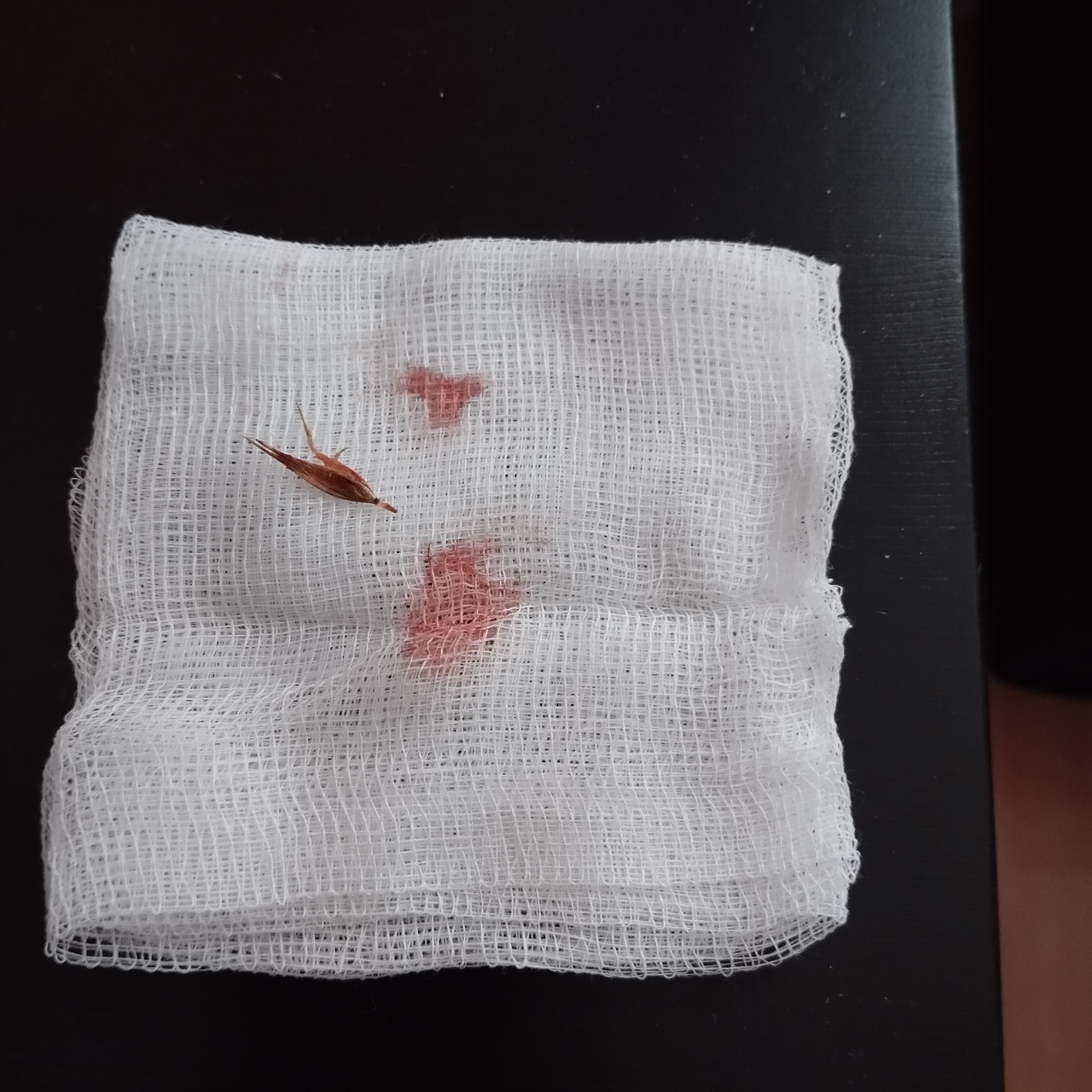 Veterinární klinika Poděbradská foto 6