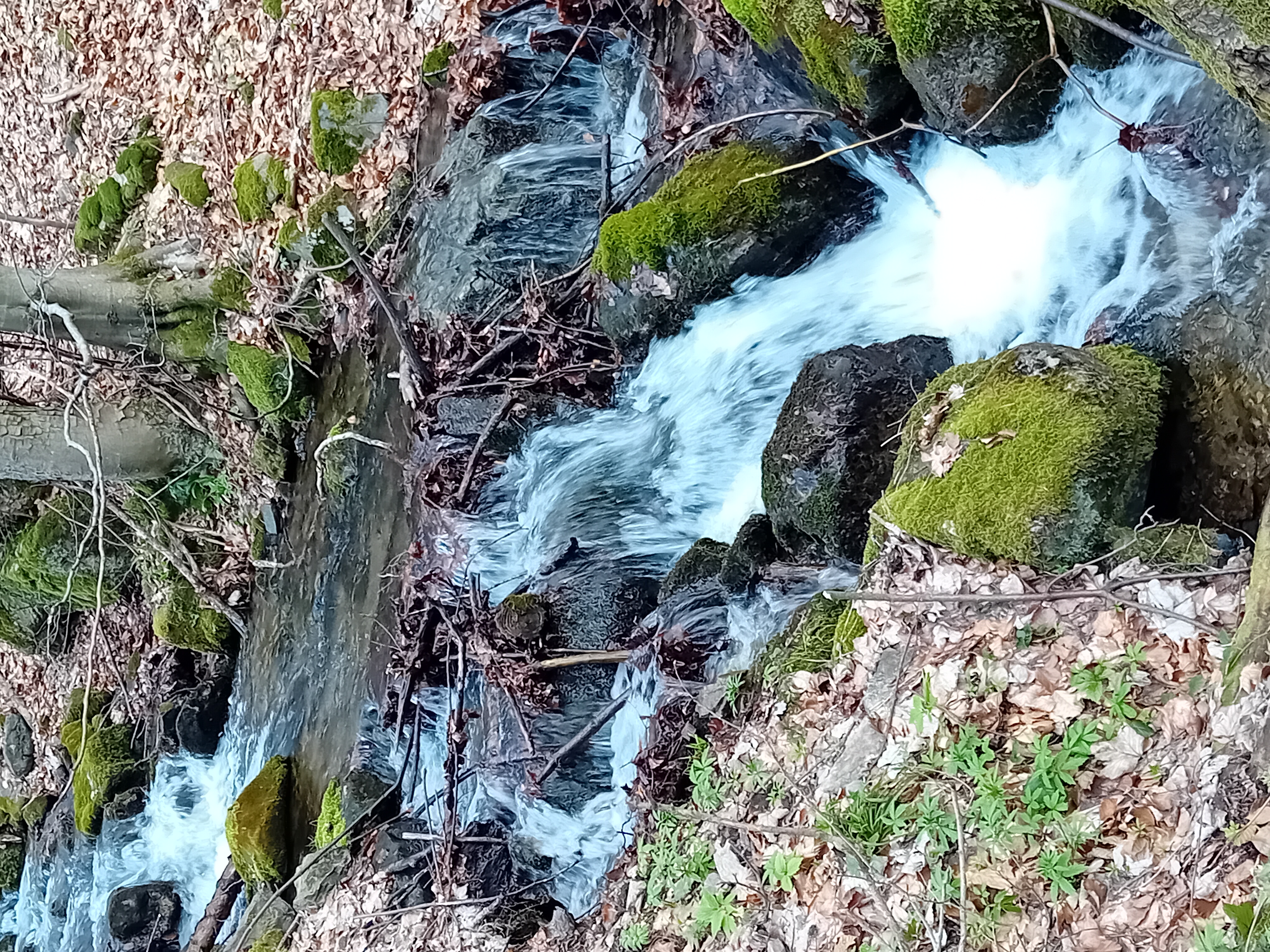 Penzion pod Smrkem foto 5