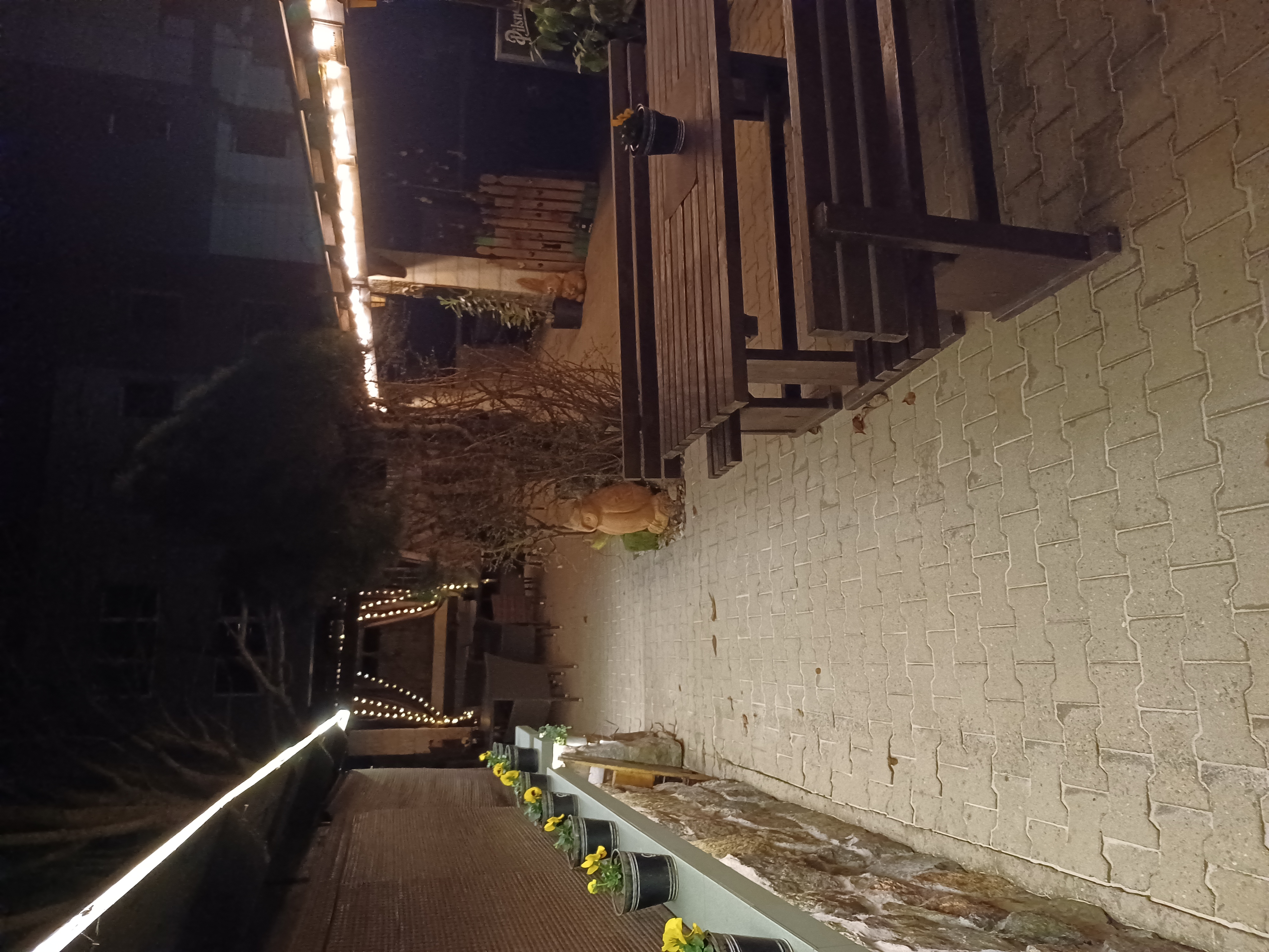 ČistéDlažby.cz foto 6