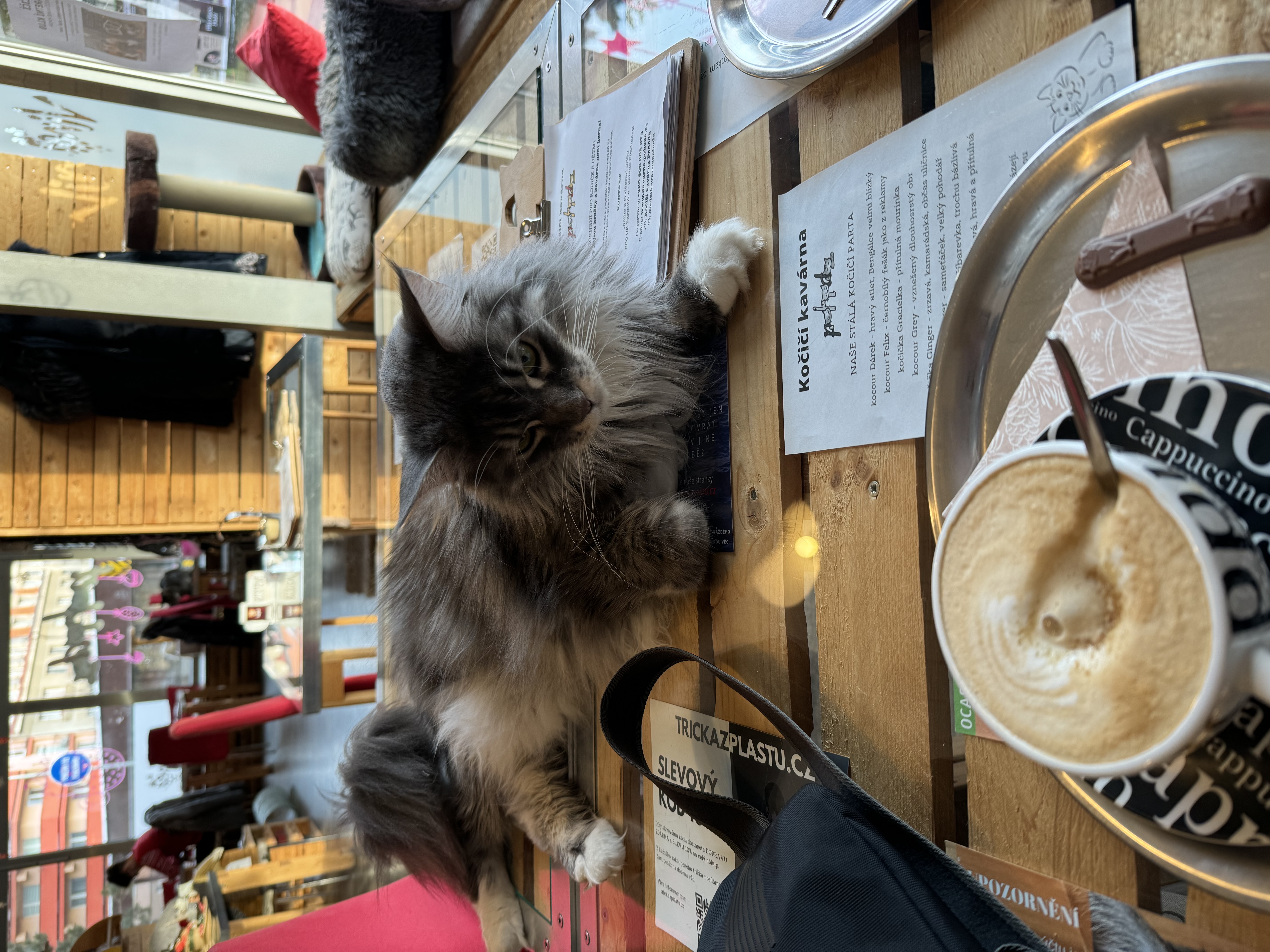 Baloon café - rodinná kavárna s dětskou hernou foto 2