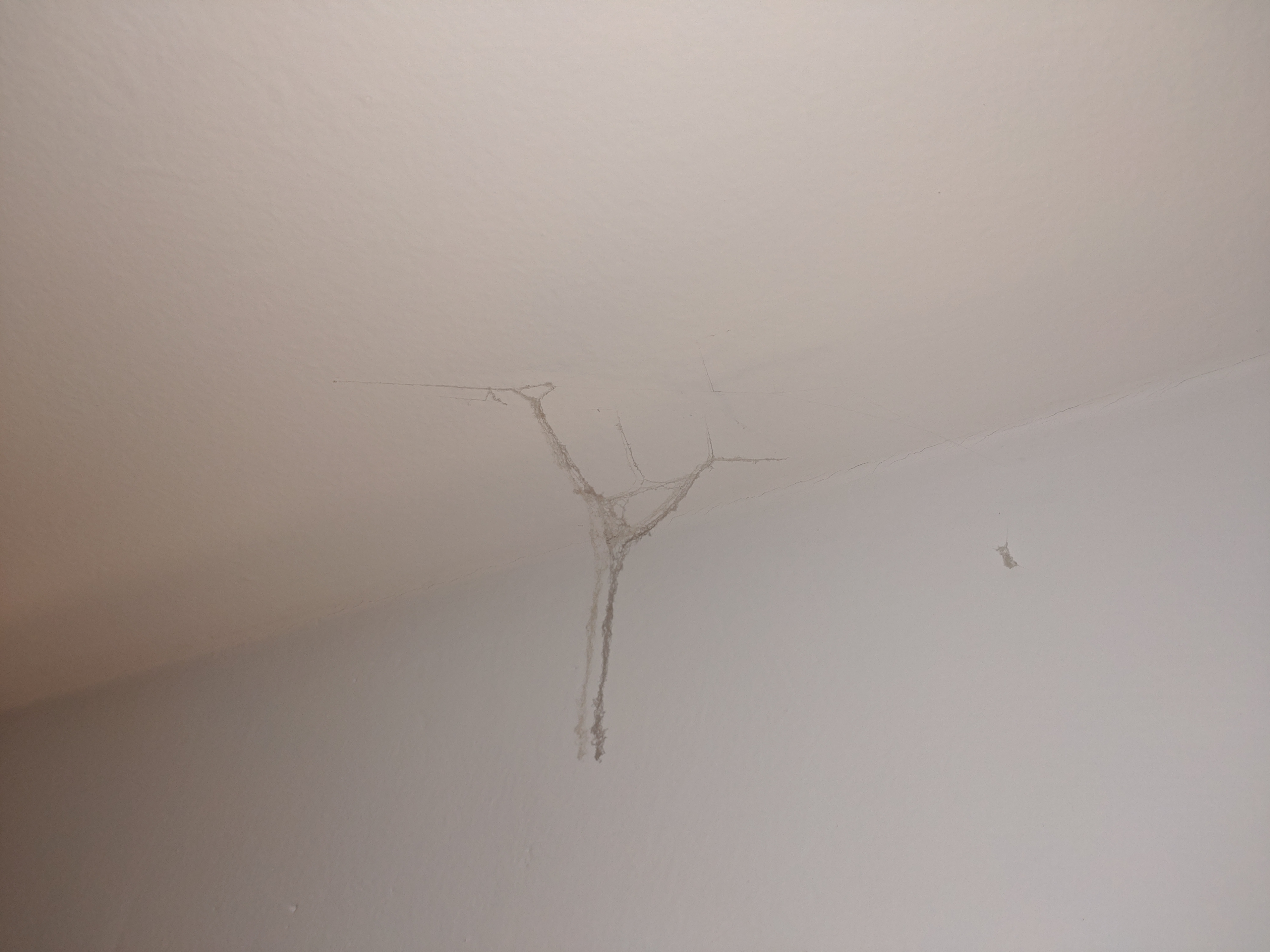 Hotel Klarinn foto 4