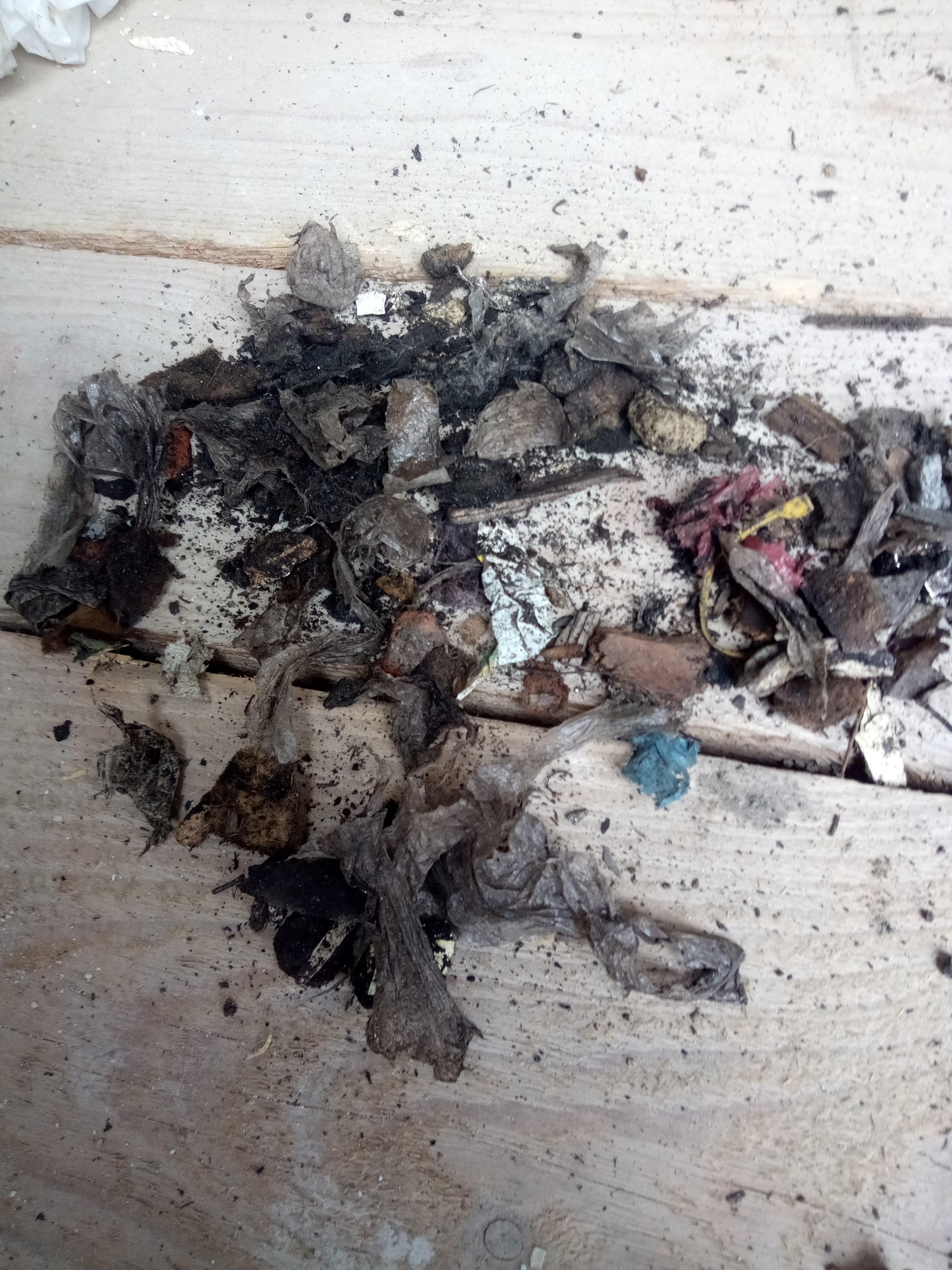 KOMPOSTÁRNA JAROŠOVICE, s.r.o. foto 6