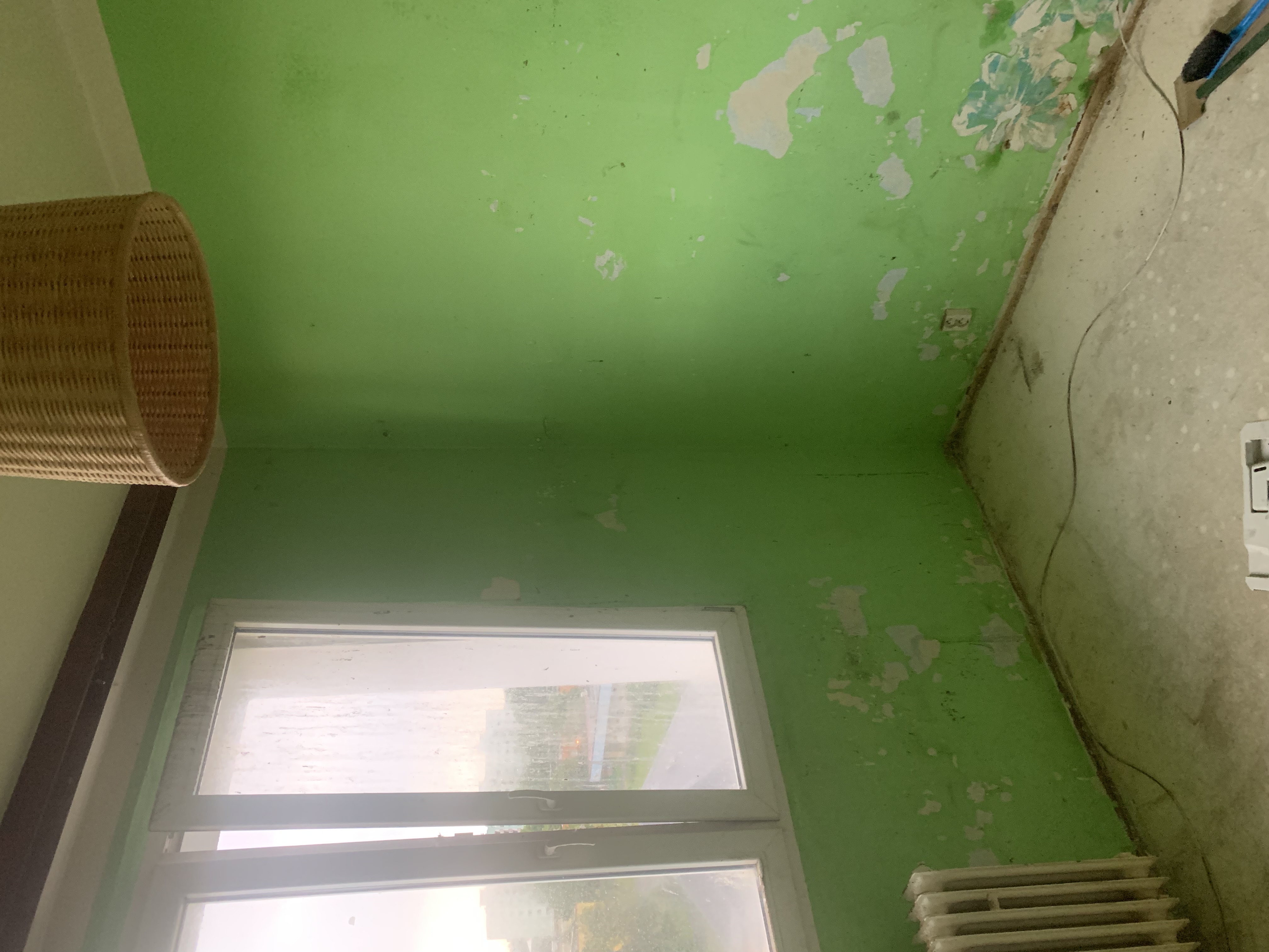 Deratizace, Dezinsekce, Dezinfekce Hubim.cz foto 4