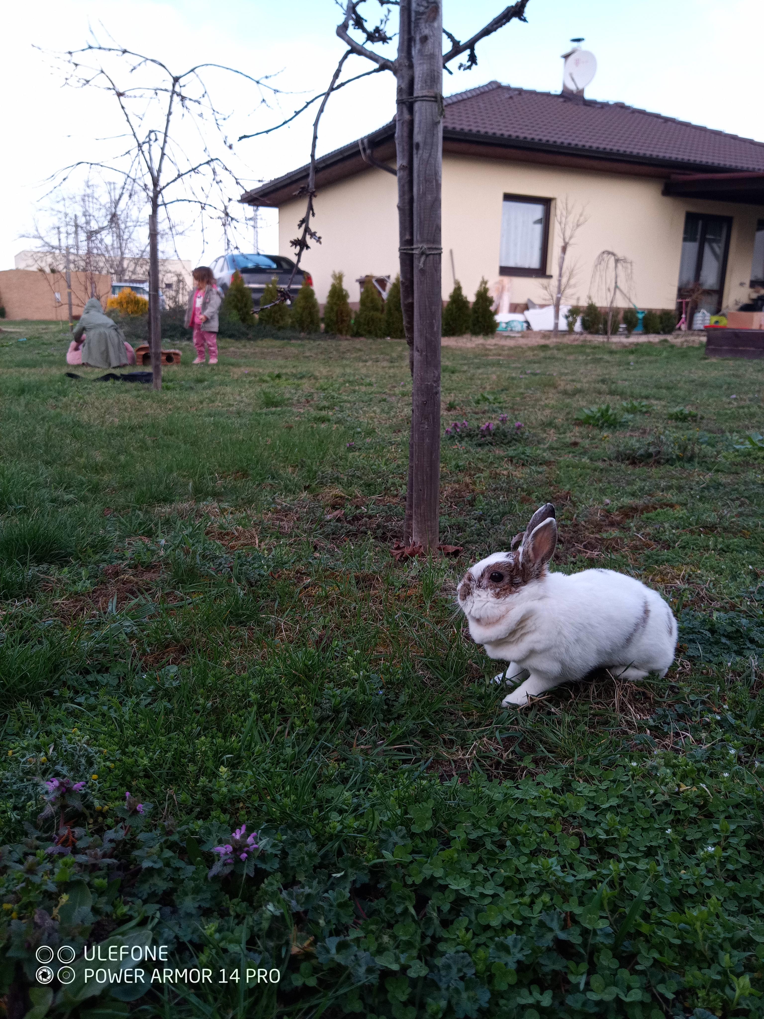 MVDr. Jindřich Nešpor foto 4