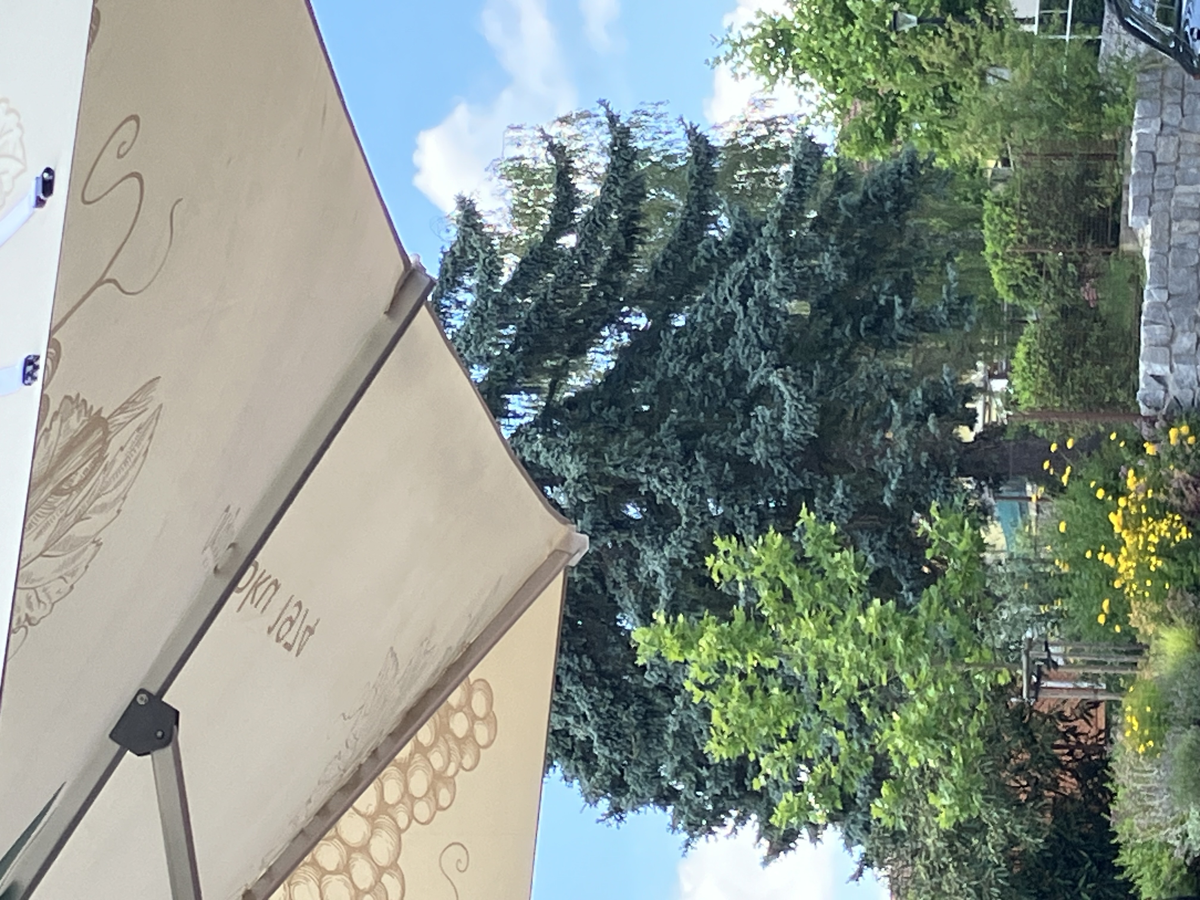 Restaurace U Krčína foto 4