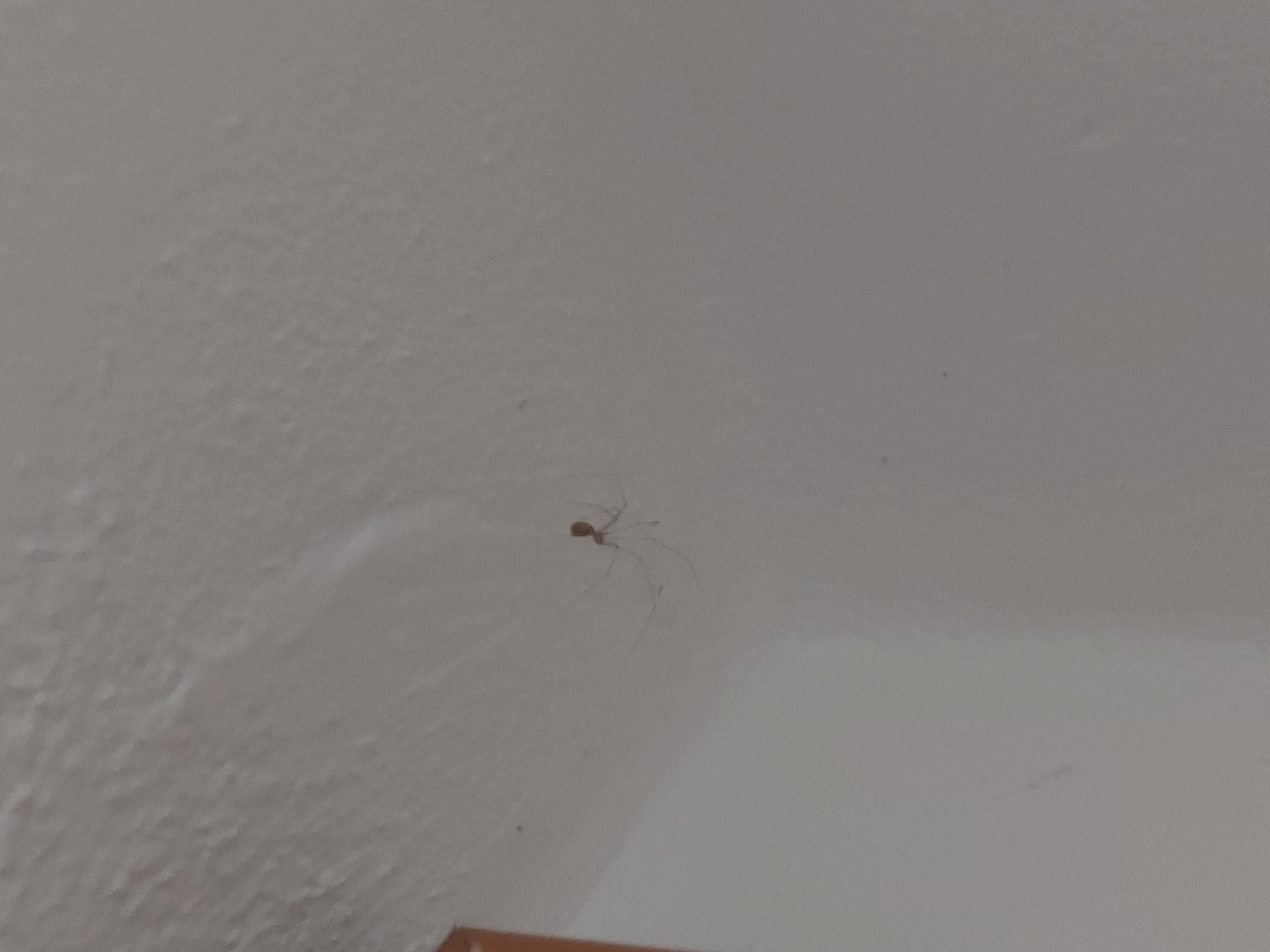 Apartmán  Na Výběžku foto 2