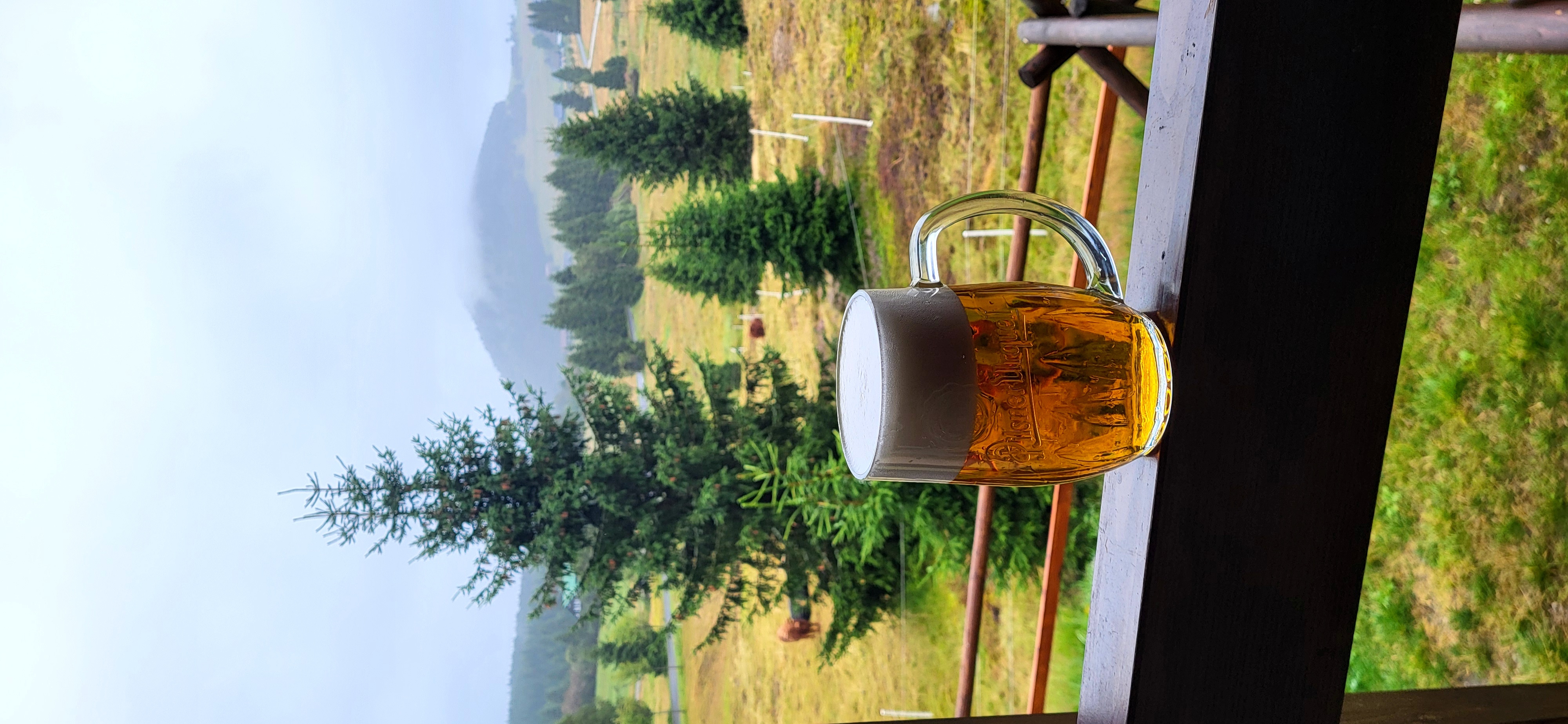 Penzion Nad Jizerským Údolím foto 6