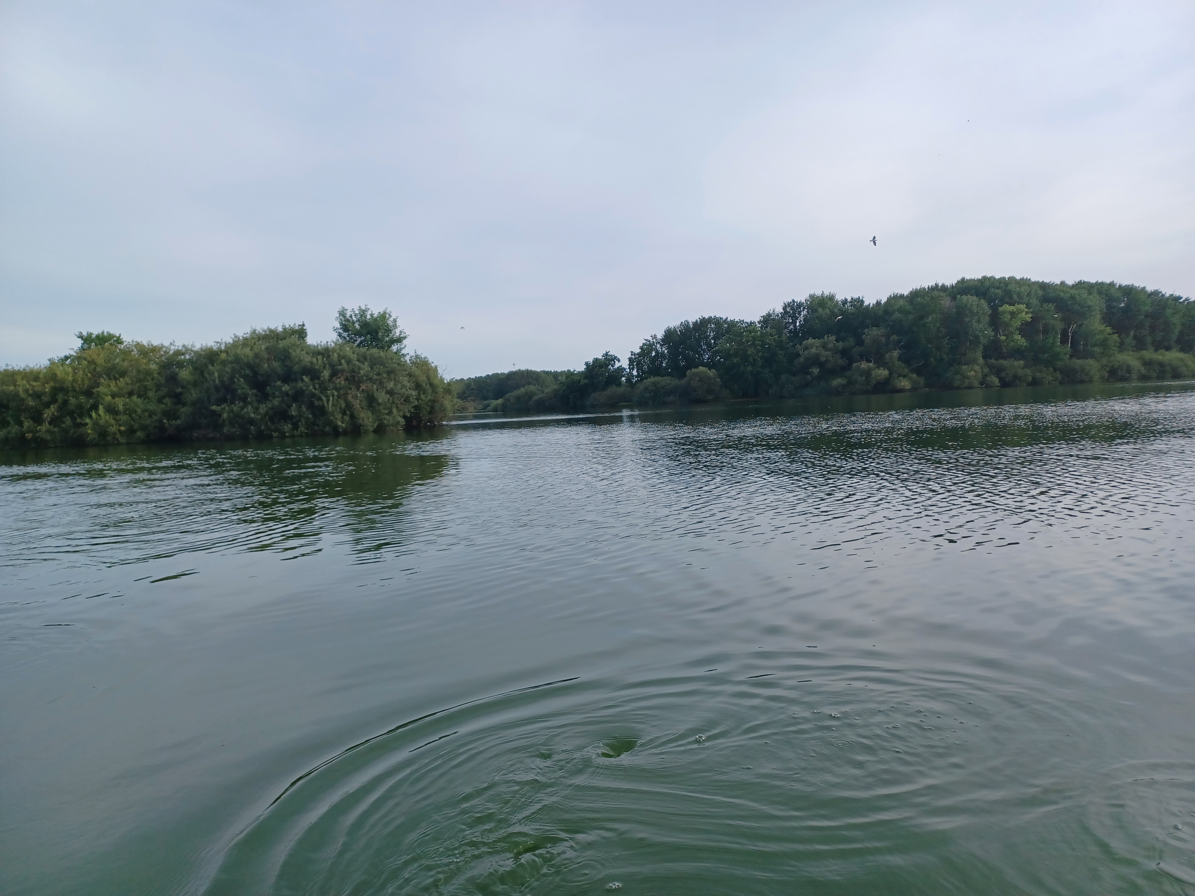 Beach House Buxusson Resort foto 3