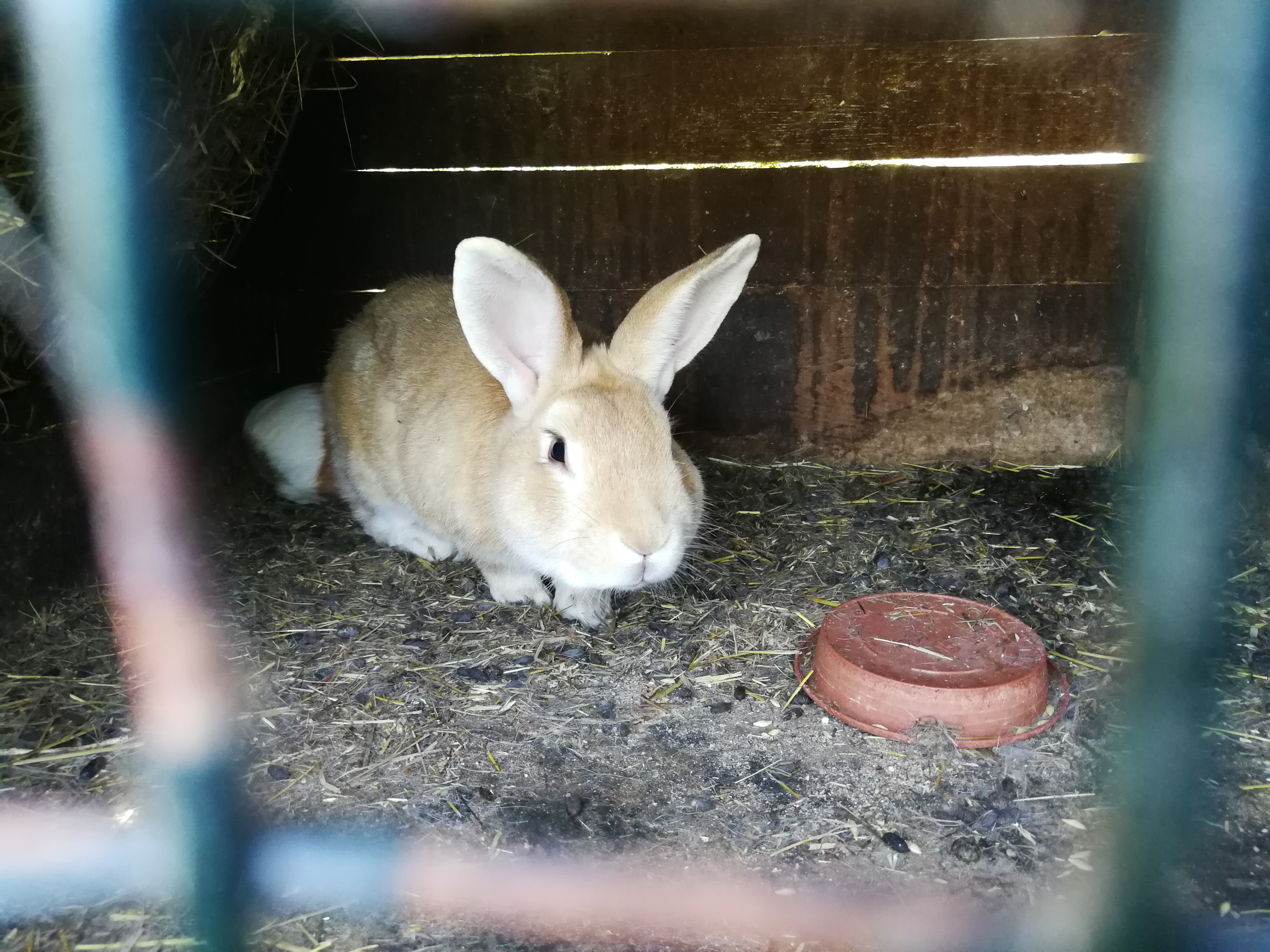 Ubytování Maňava 51 foto 6