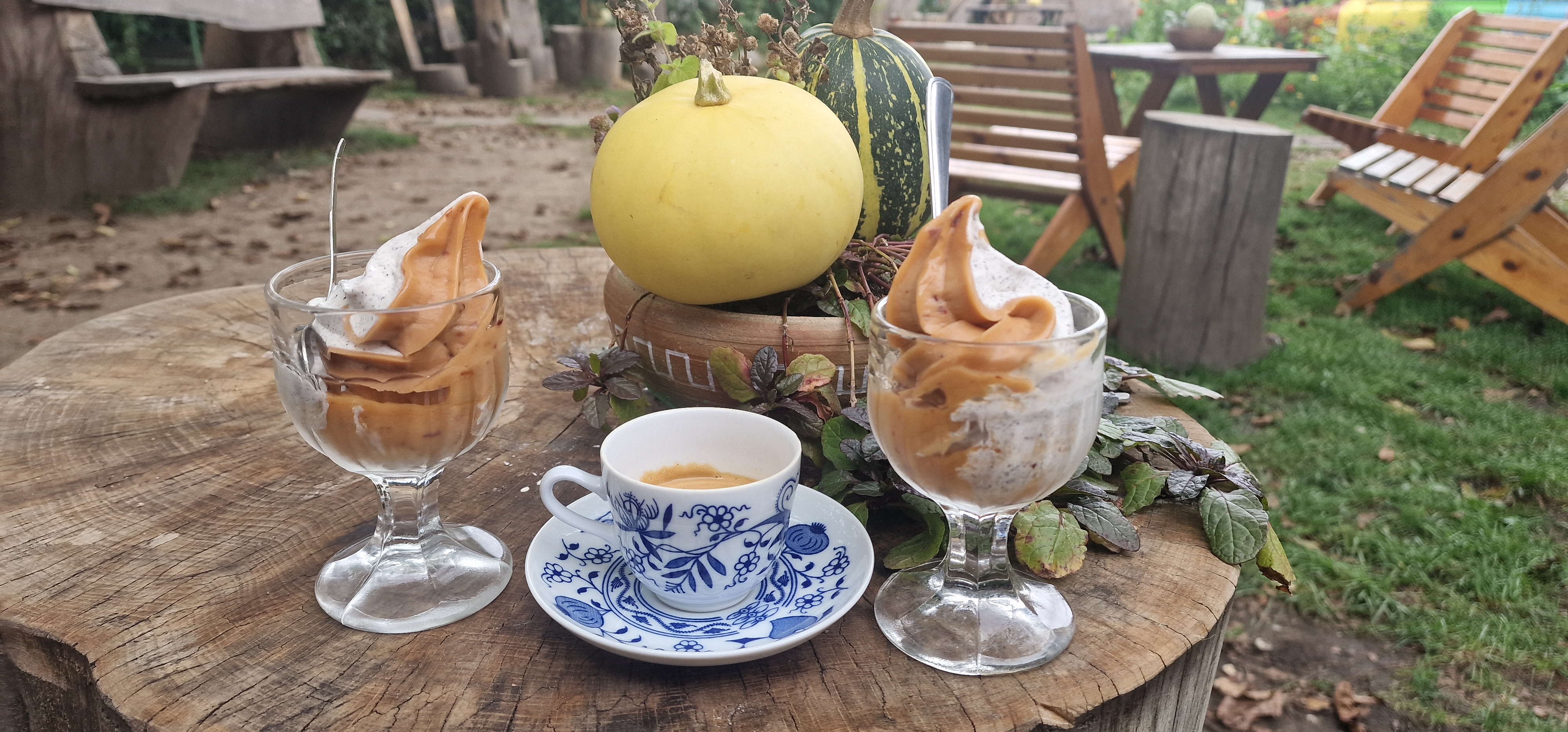 Zmrzlinárium Zahrada foto 6