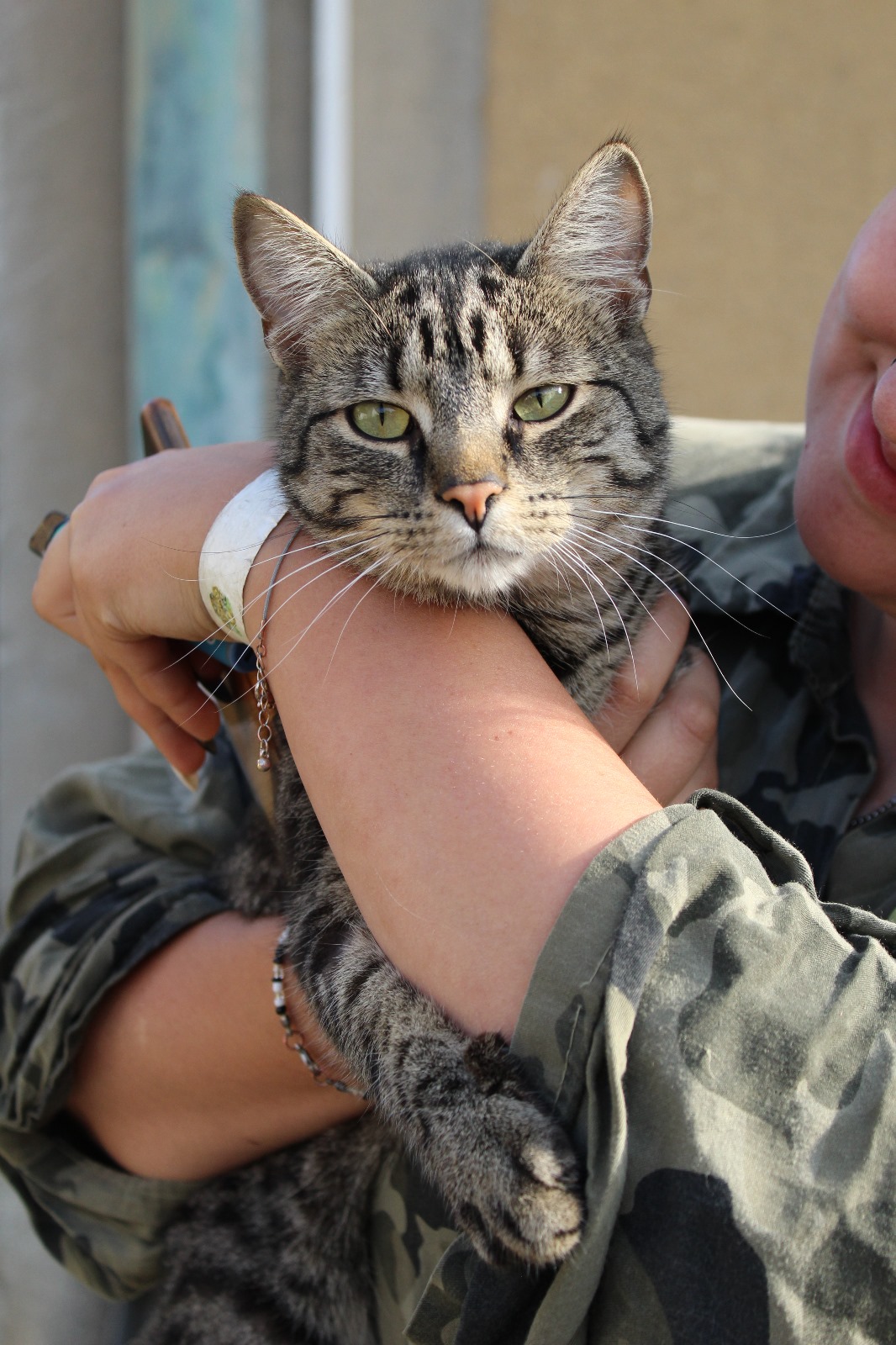 MVDr. Ladislav Kuncl - Veterinární klinika Kleisslova foto 5
