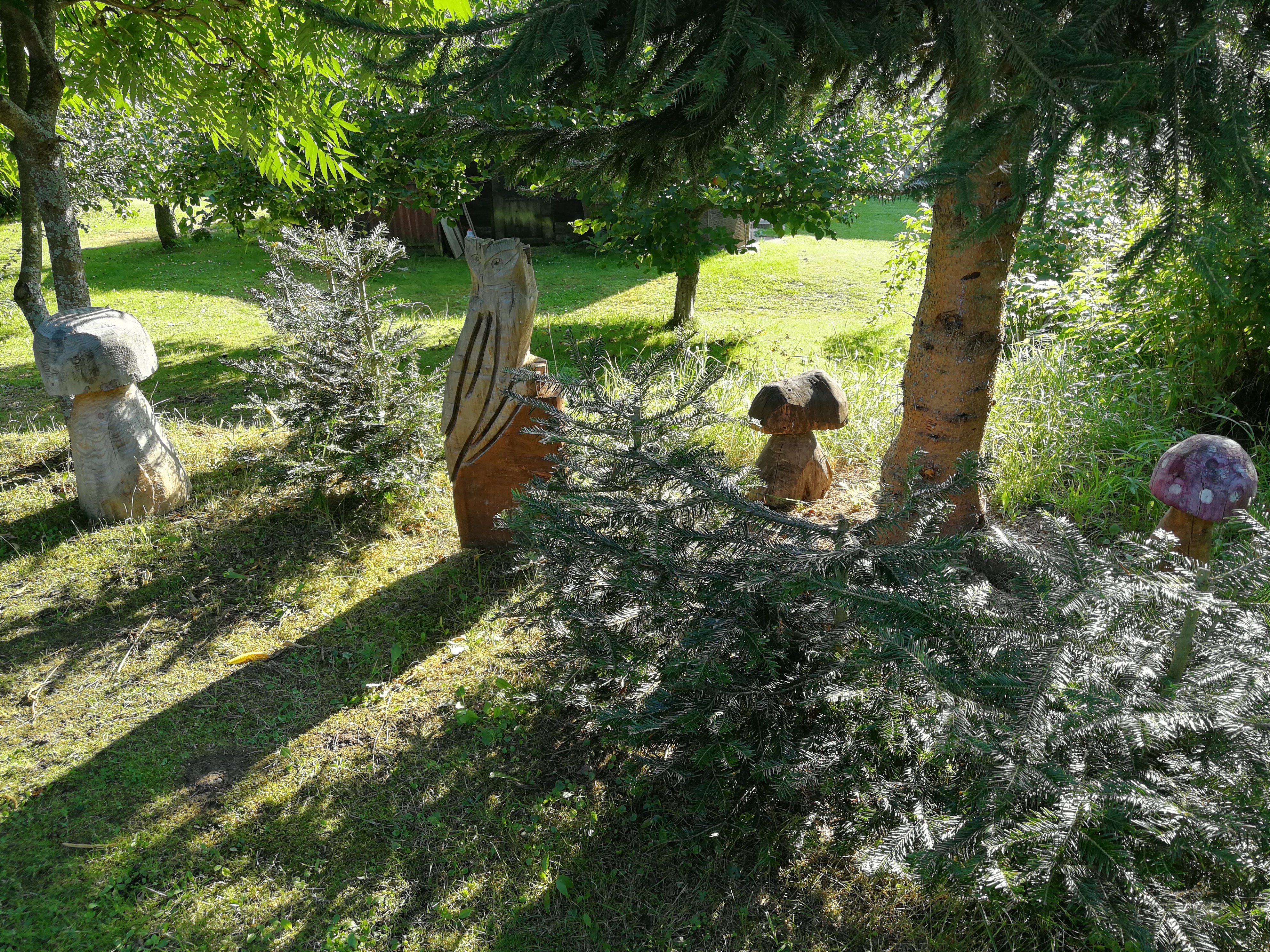 Ubytování Maňava 51 foto 5