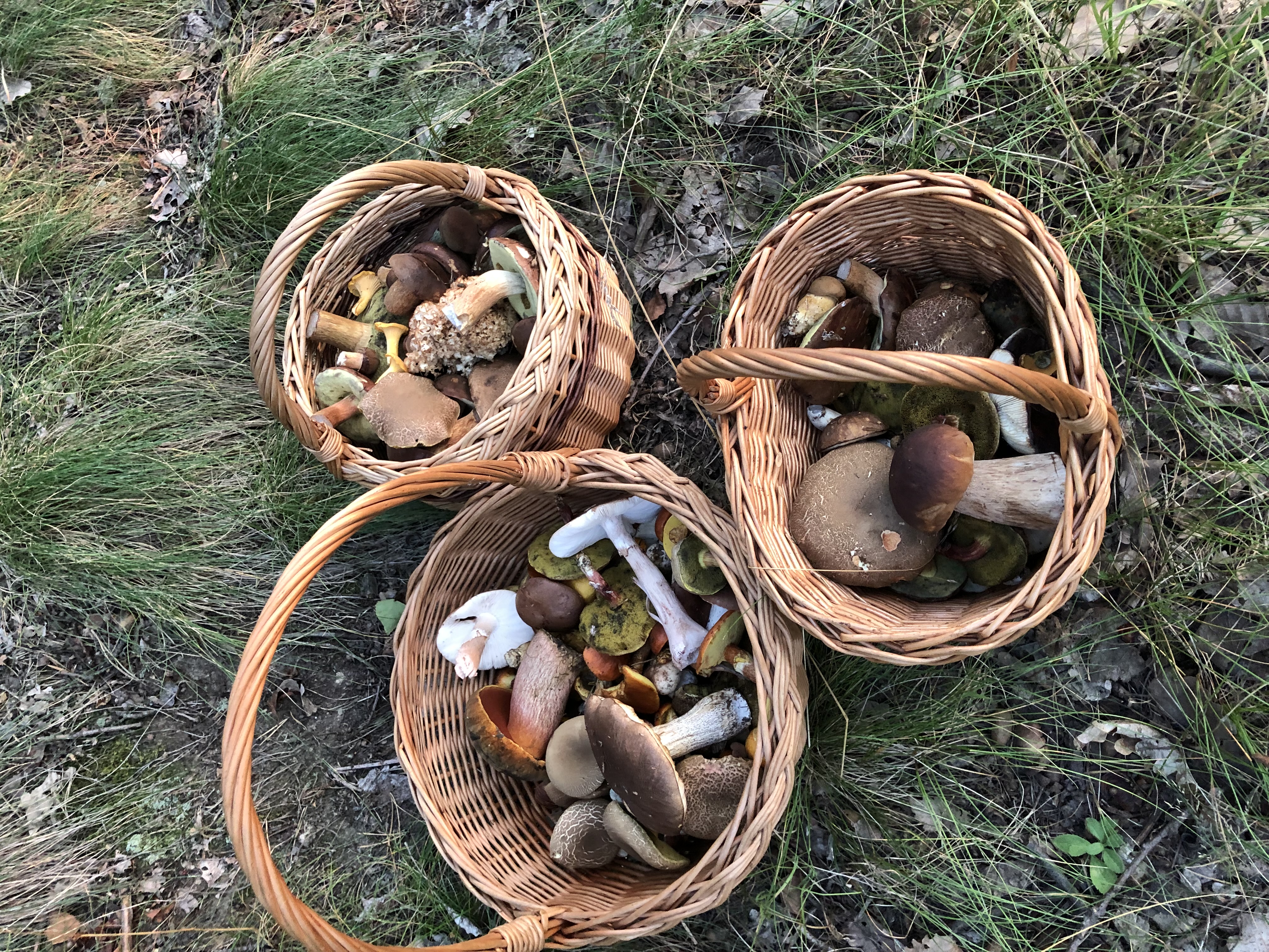 Ubytování u Orlíku foto 3