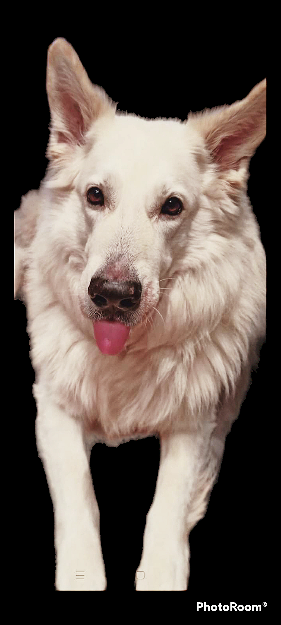 ERIKA veterinární klinika - MVDr. Pavel Hron foto 4