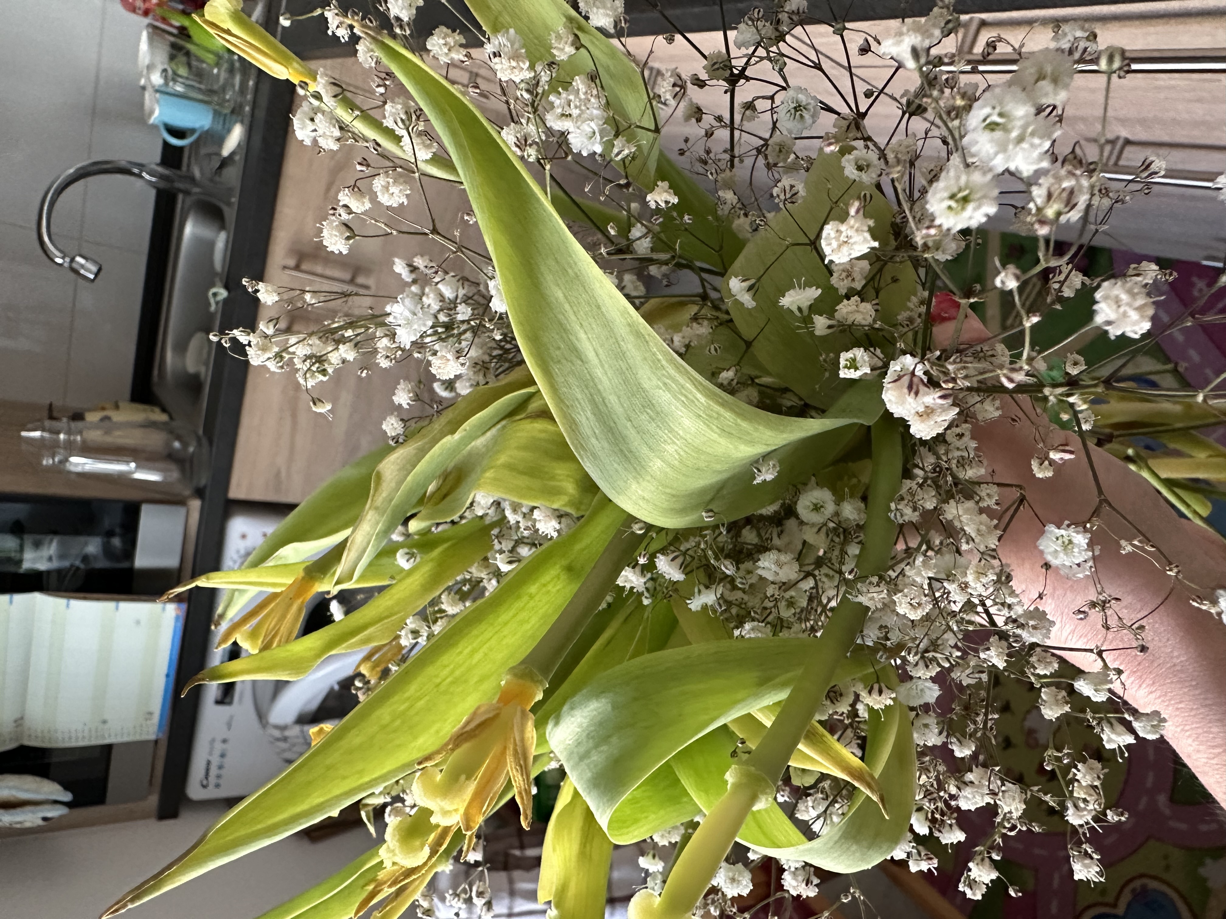 Květiny Flora foto 6