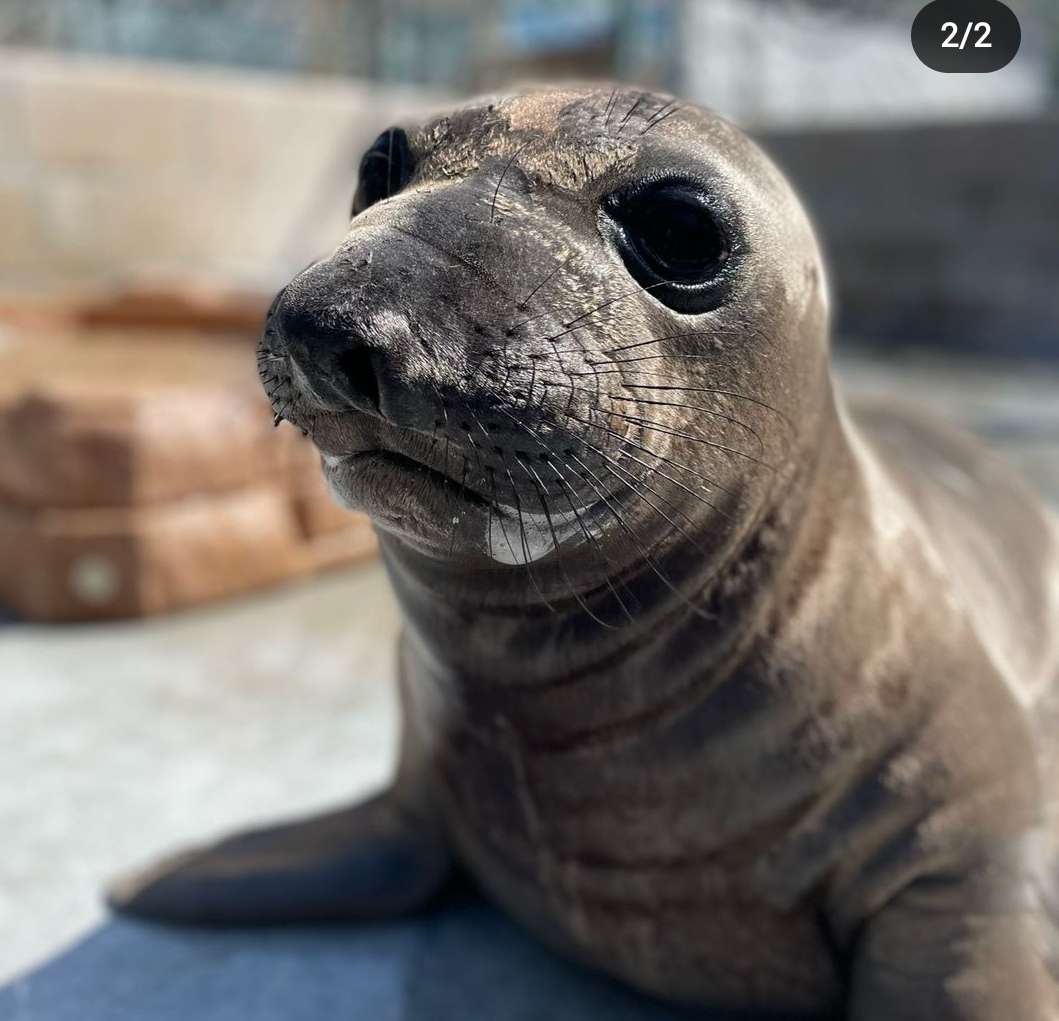 Čínské bistro S'chuan foto 2