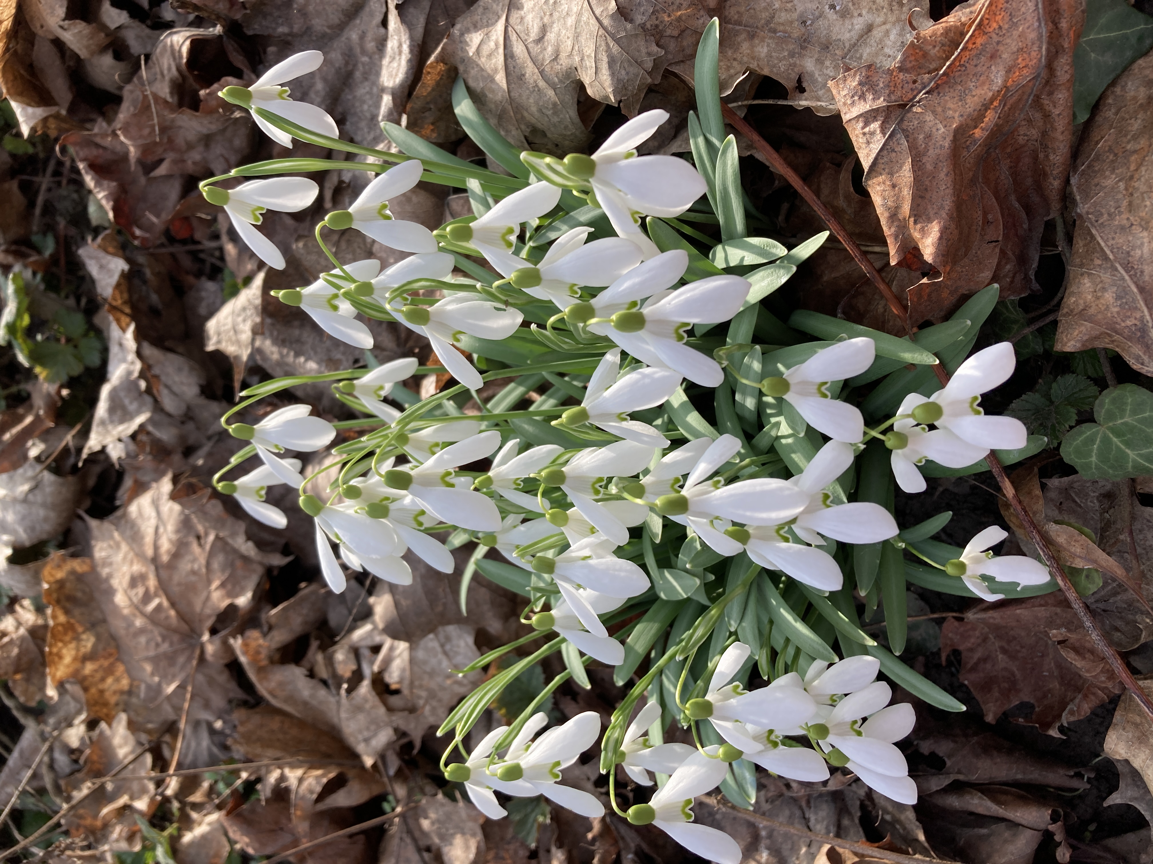 EuroPainClinics Fyzio foto 5